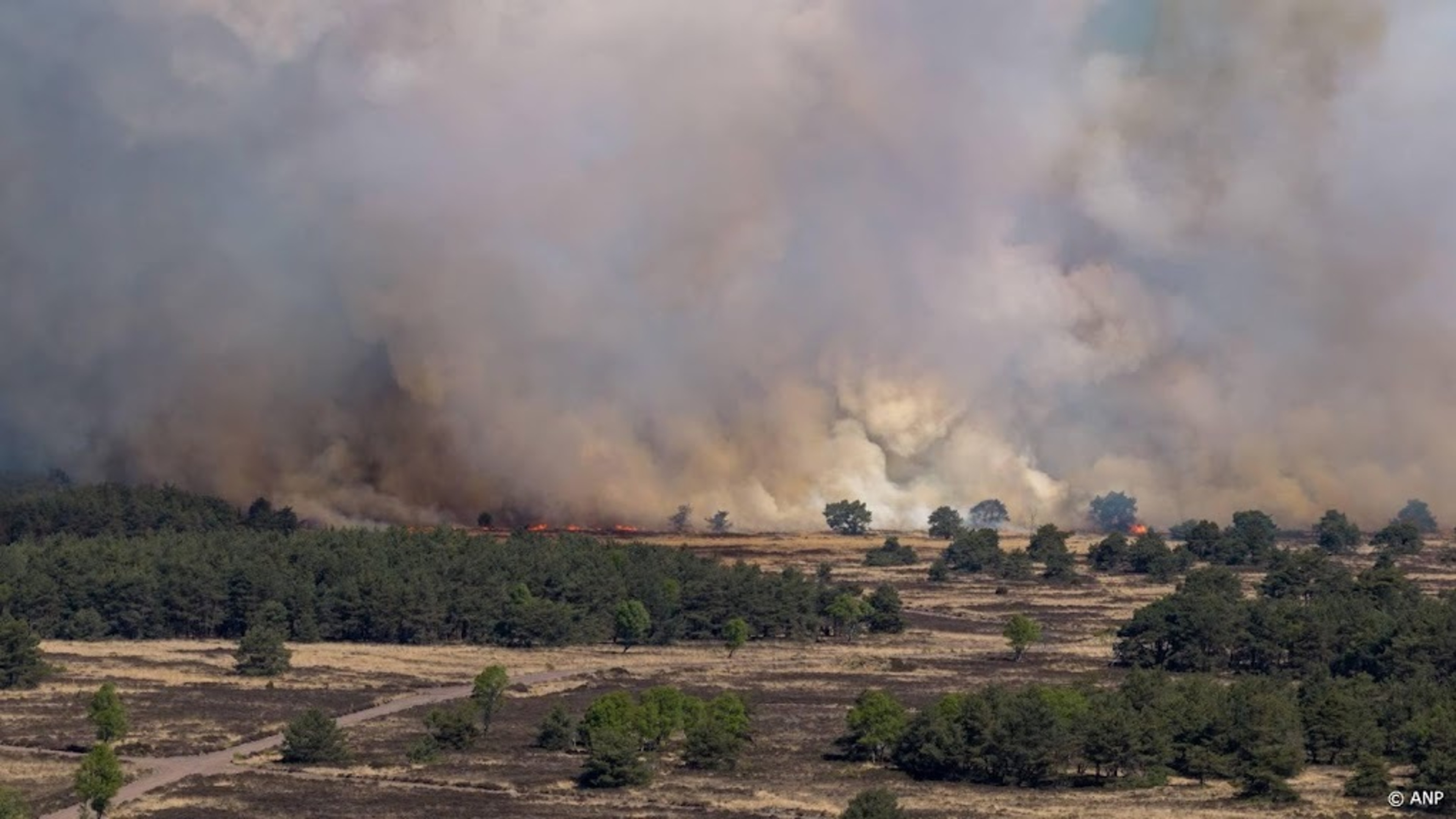 Royal Marechaussee: fire in 't Harde caused by explosives exercise