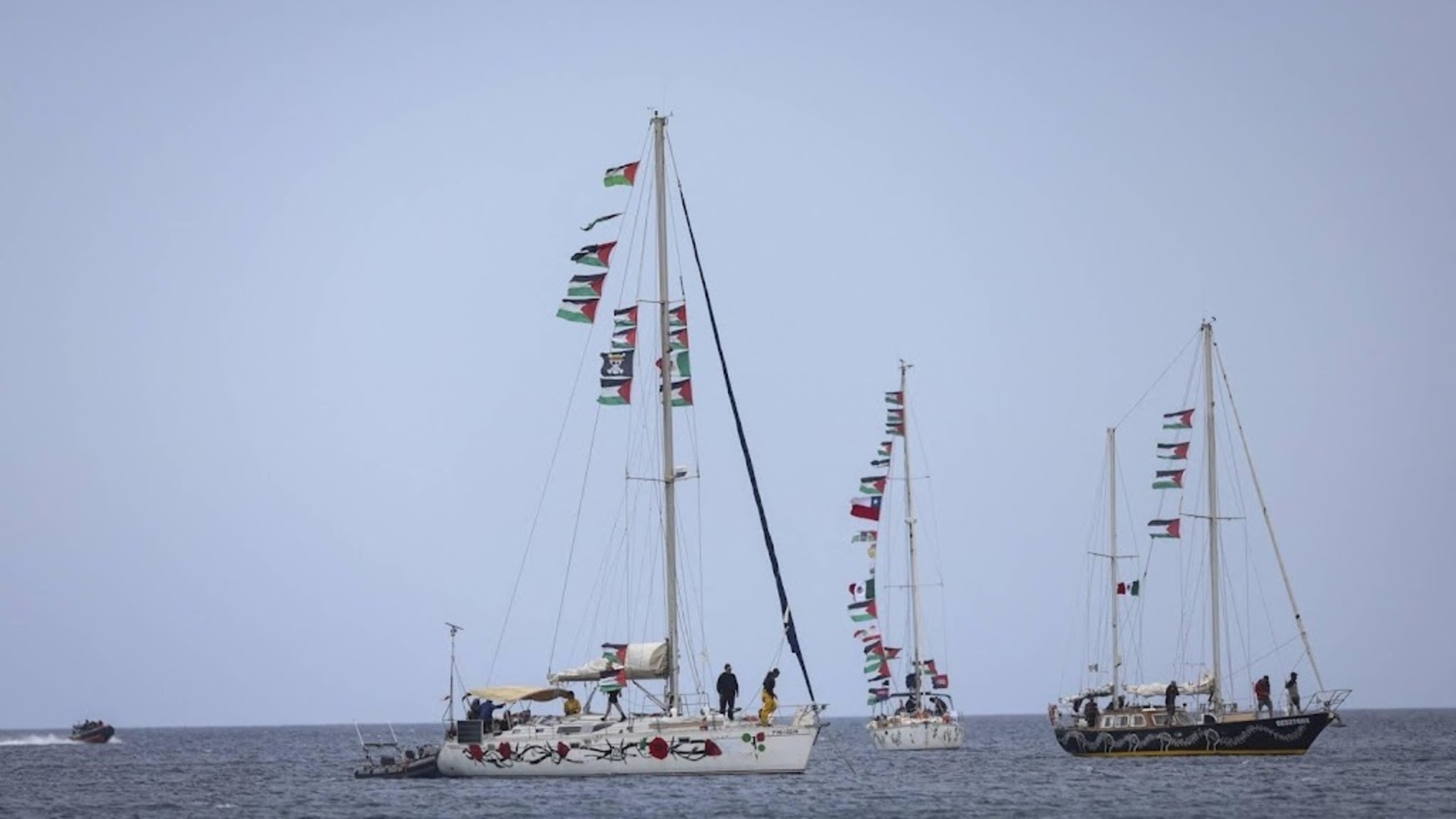 Two Dutch nationals on Gaza flotilla removed from boat by Israel