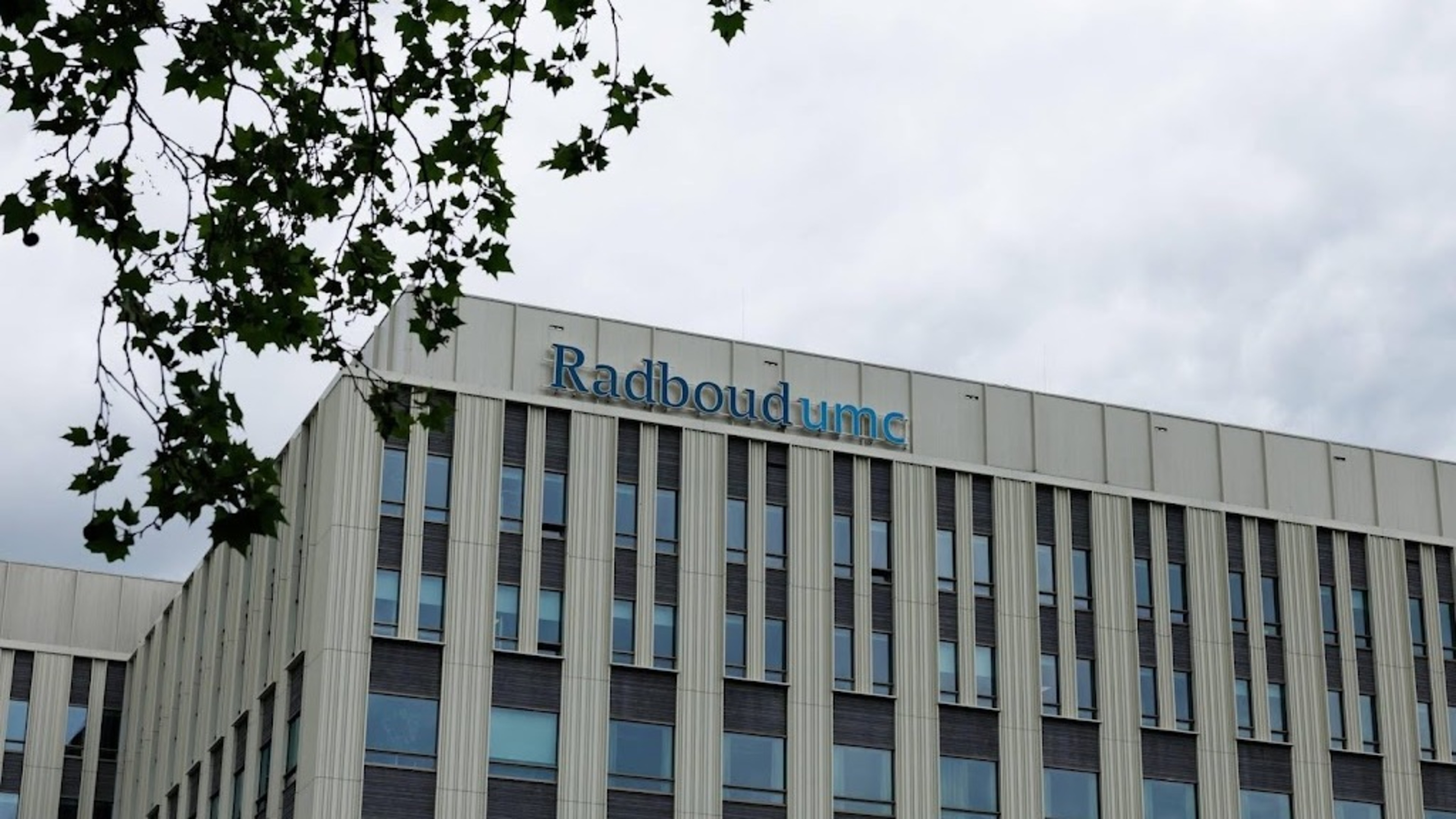 12 Radboudumc employees in preventive quarantine over hantavirus