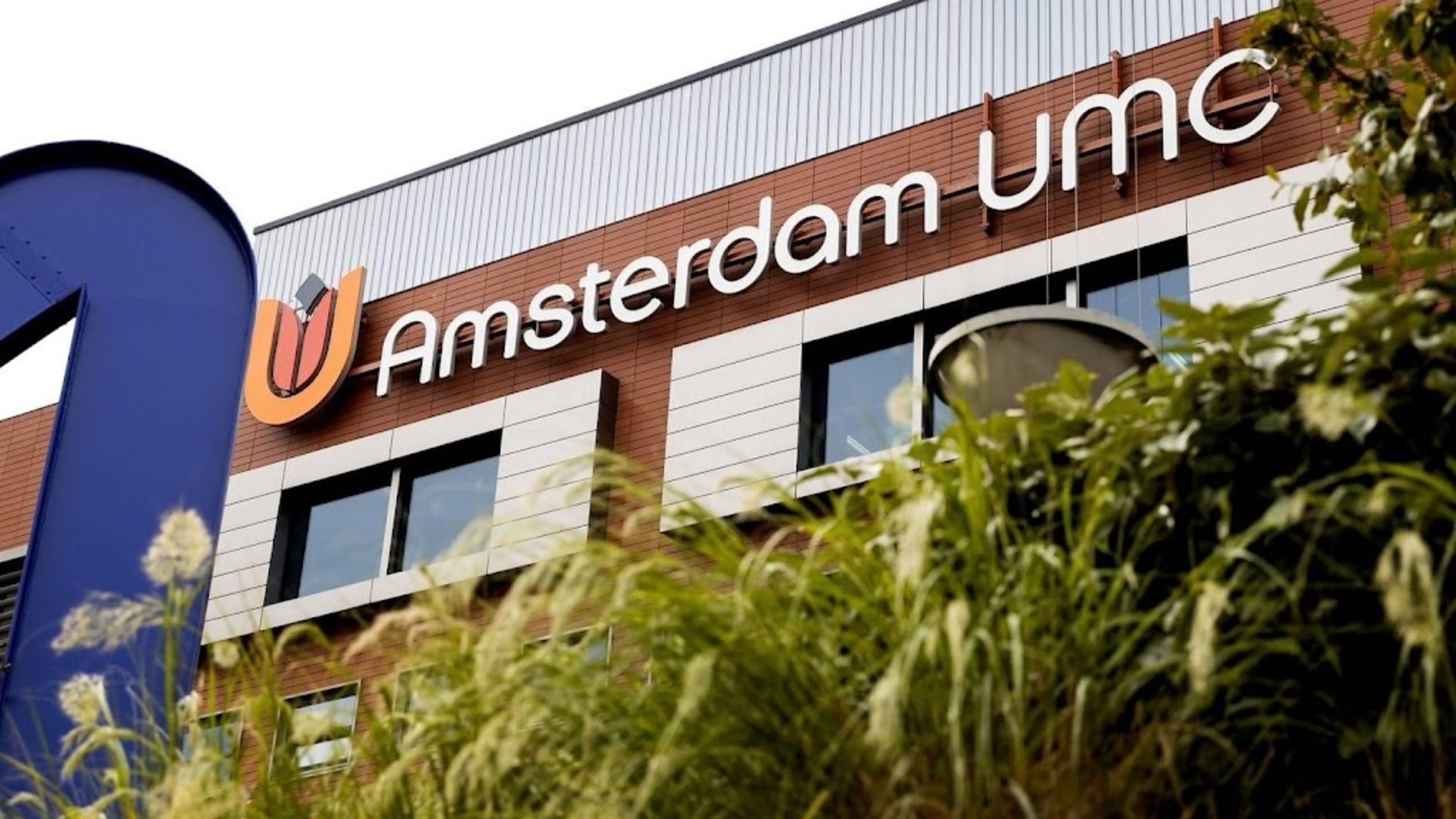 Study into MS patients who received stem cell therapy abroad