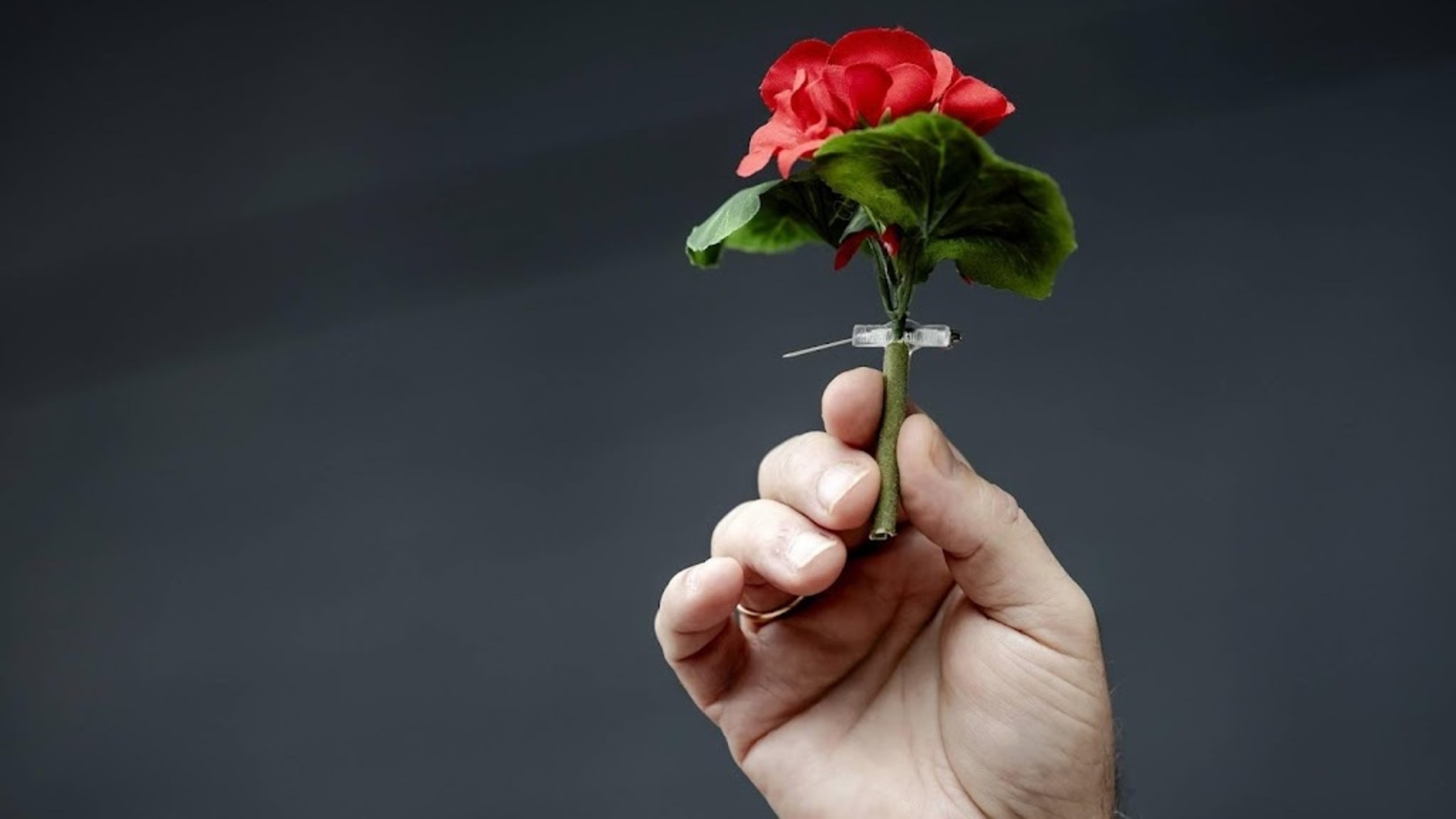 Doctors feel pressure due to increasing normalization of euthanasia