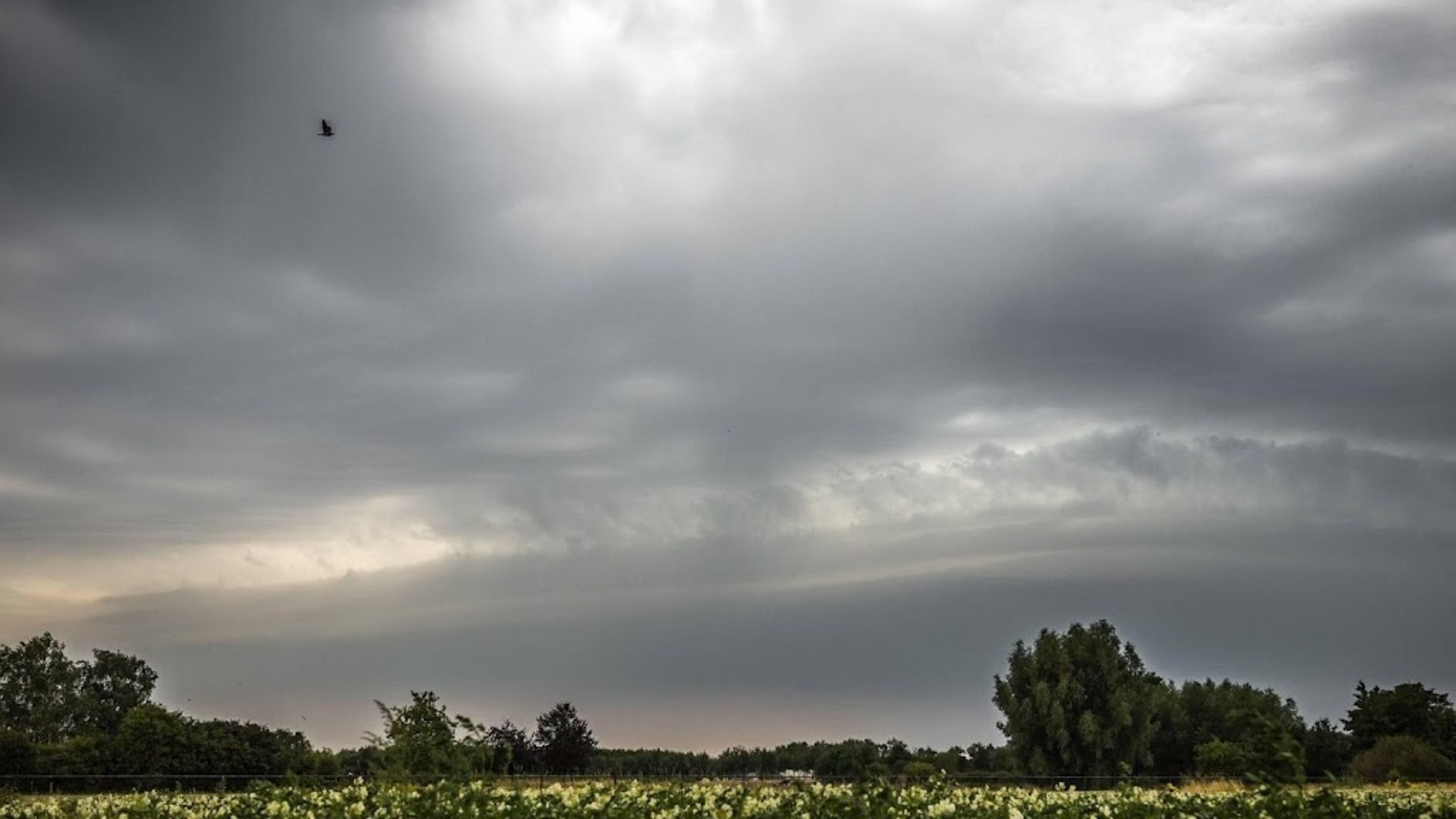 Code yellow in Gelderland and Overijssel due to thunderstorms