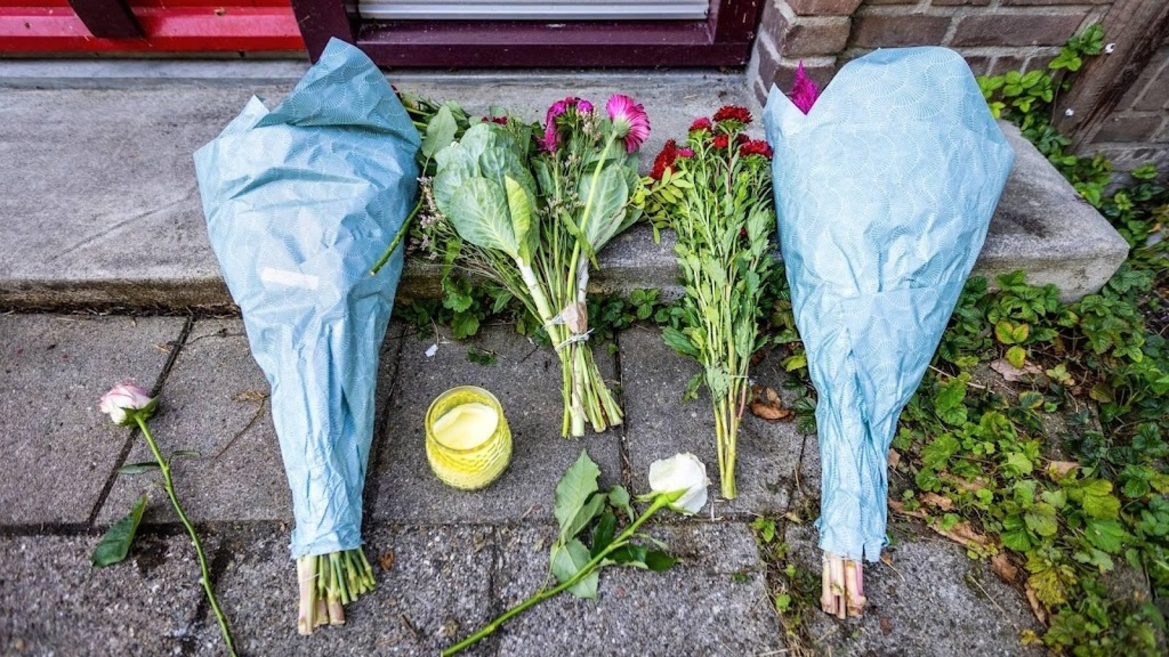 Court imposes 30-year sentence for killing Rijswijk neighbor