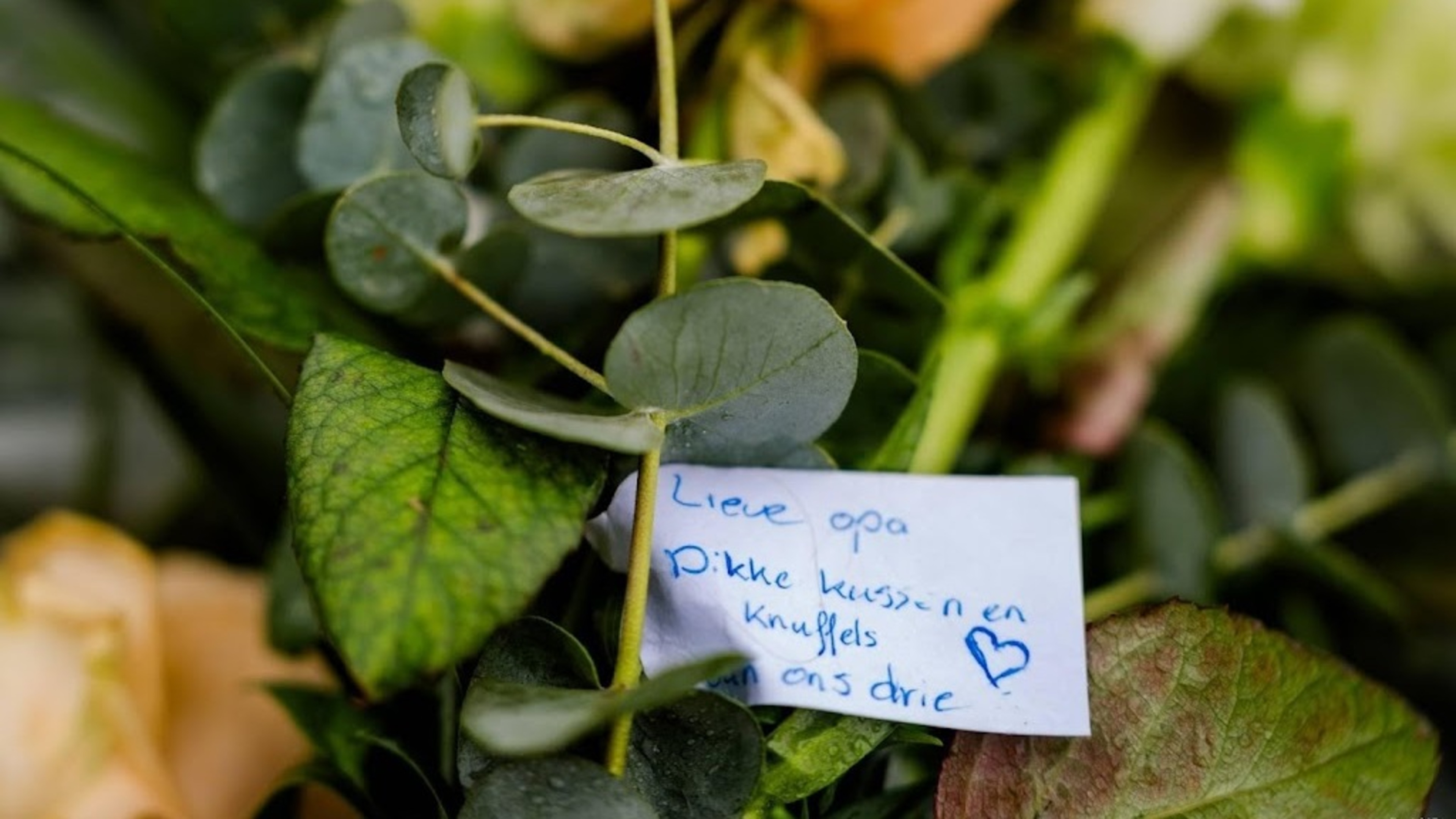 IJsselmonde family: sentence too low, but no appeal