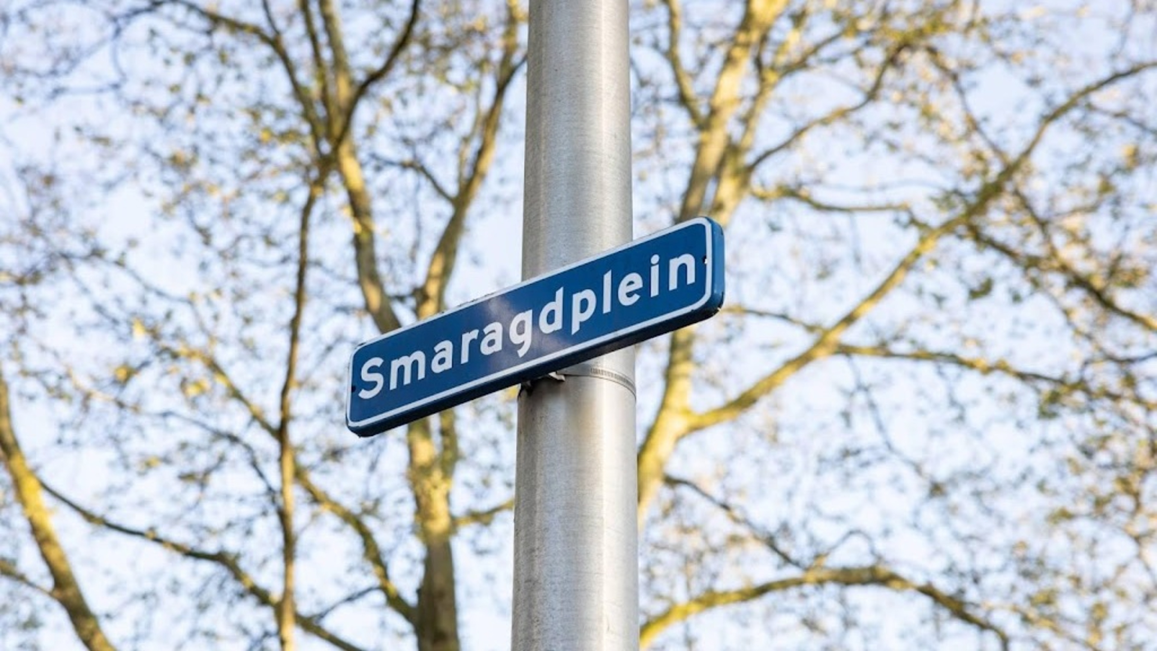 Police suspect 'internal dispute' after man set on fire