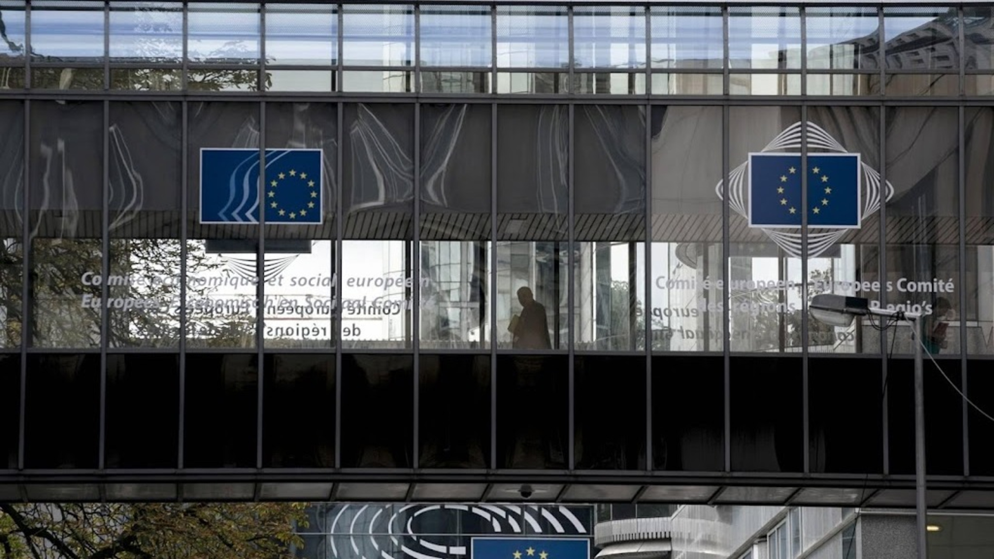 Dutch official joins EU-Taliban talks