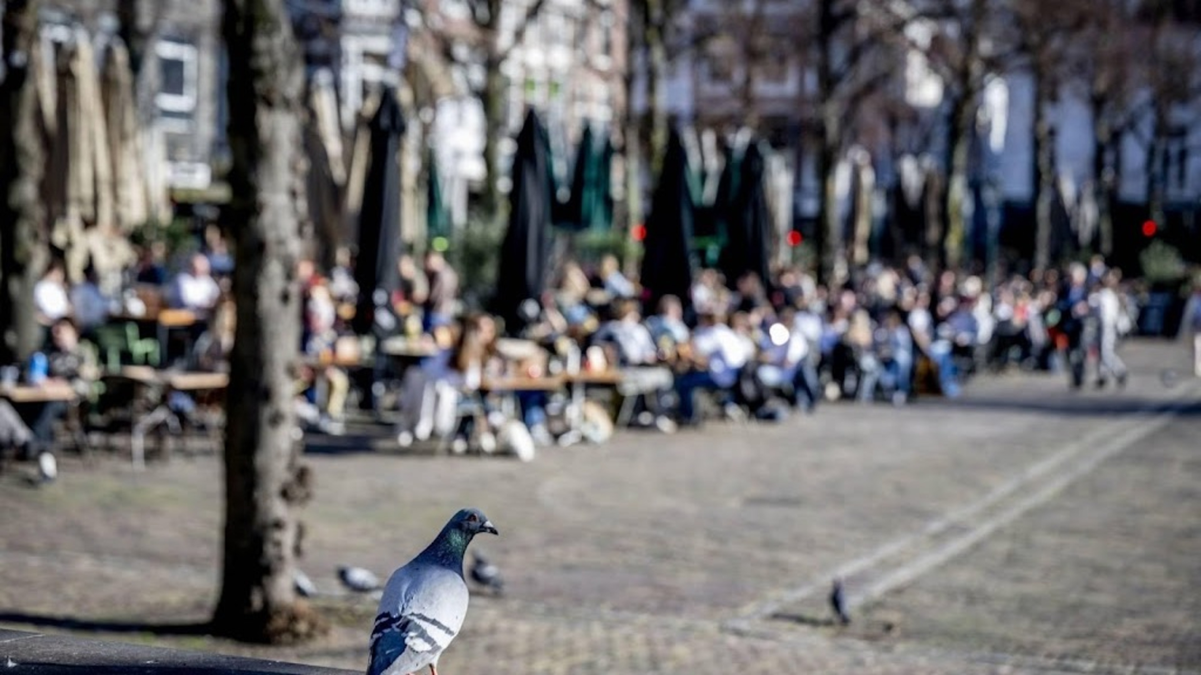 Weeronline: March much milder than normal