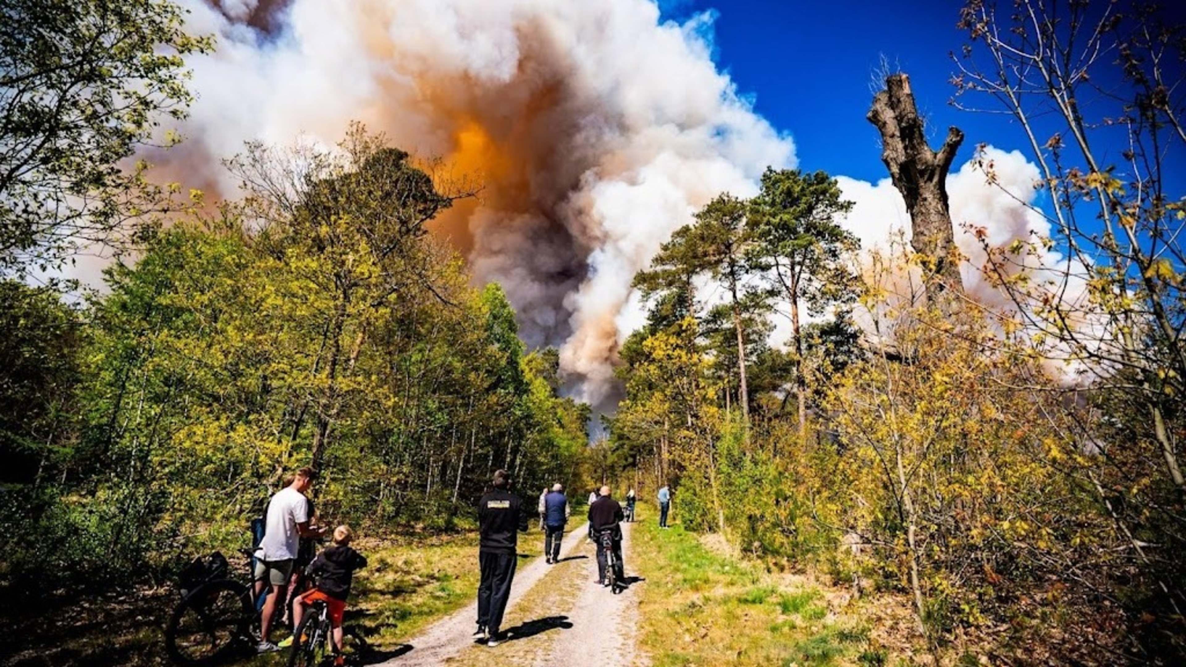 Exceptionally large wildfire in ’t Harde could take days to extinguish