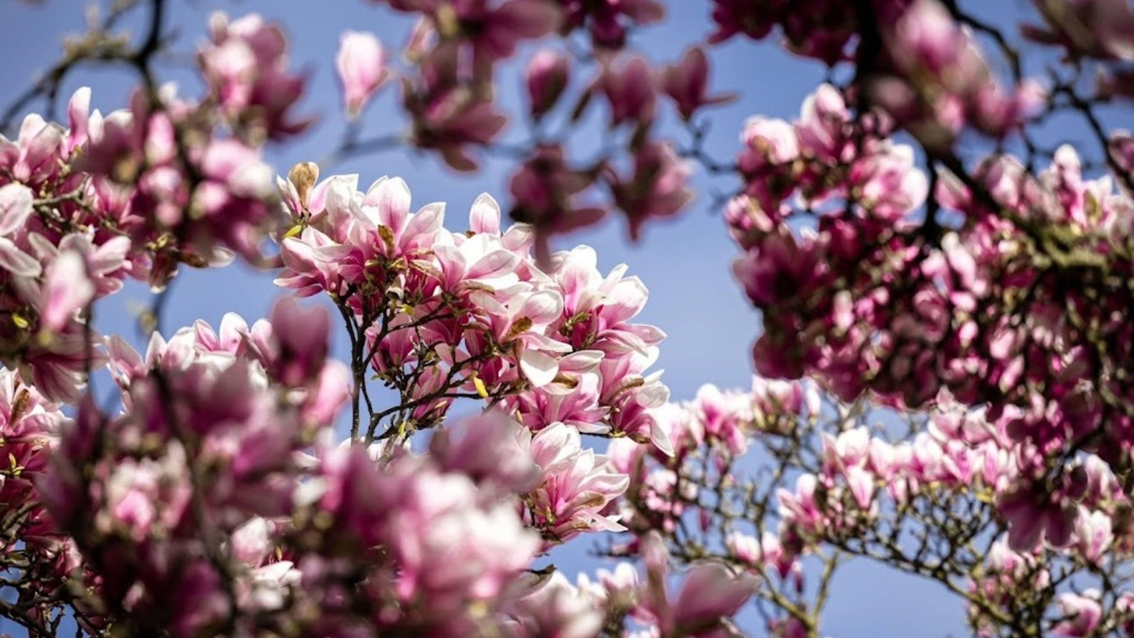 March also ends mild as April sees 'normal' spring weather