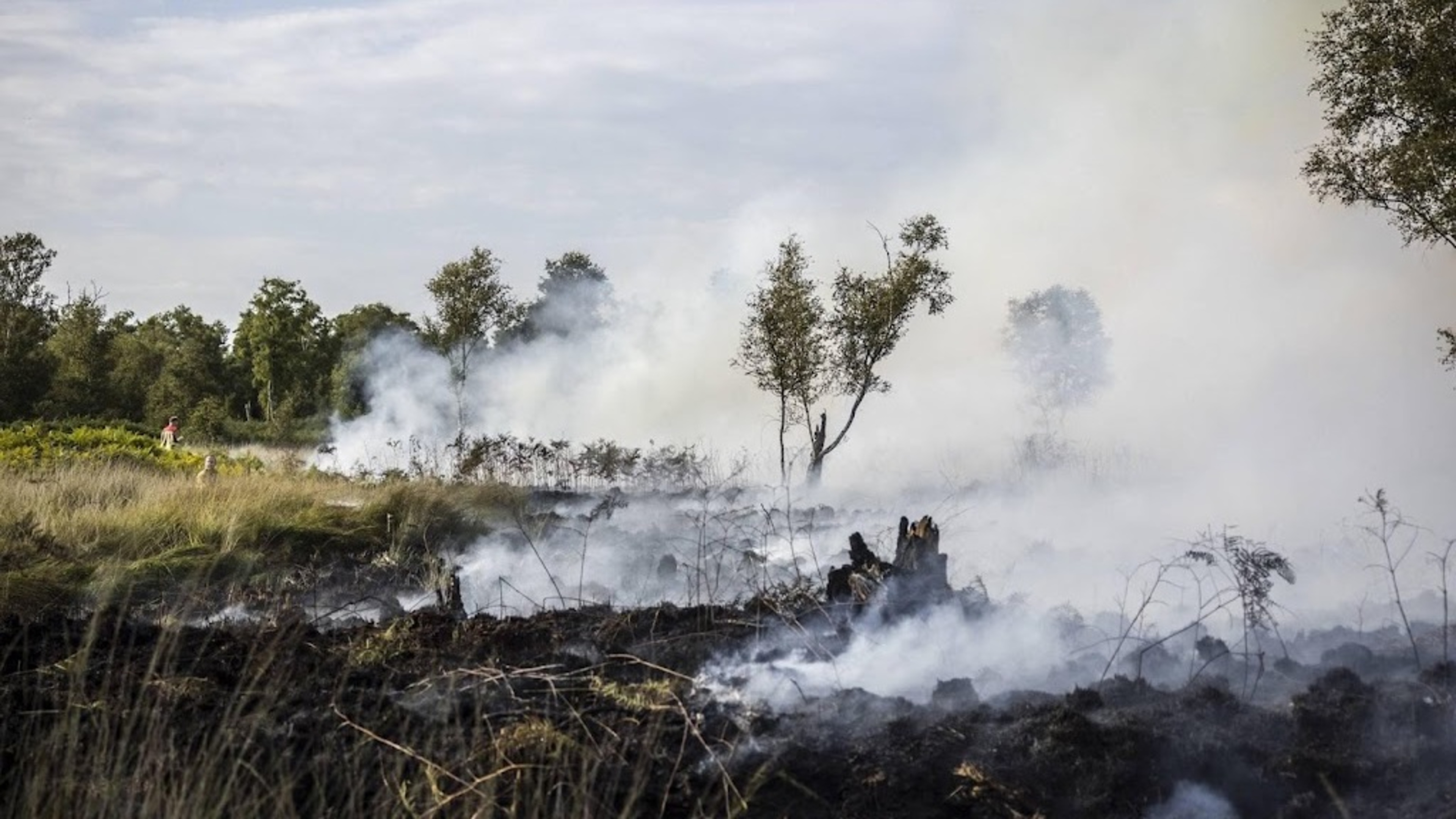 Wildfire in wooded area near Tilburg