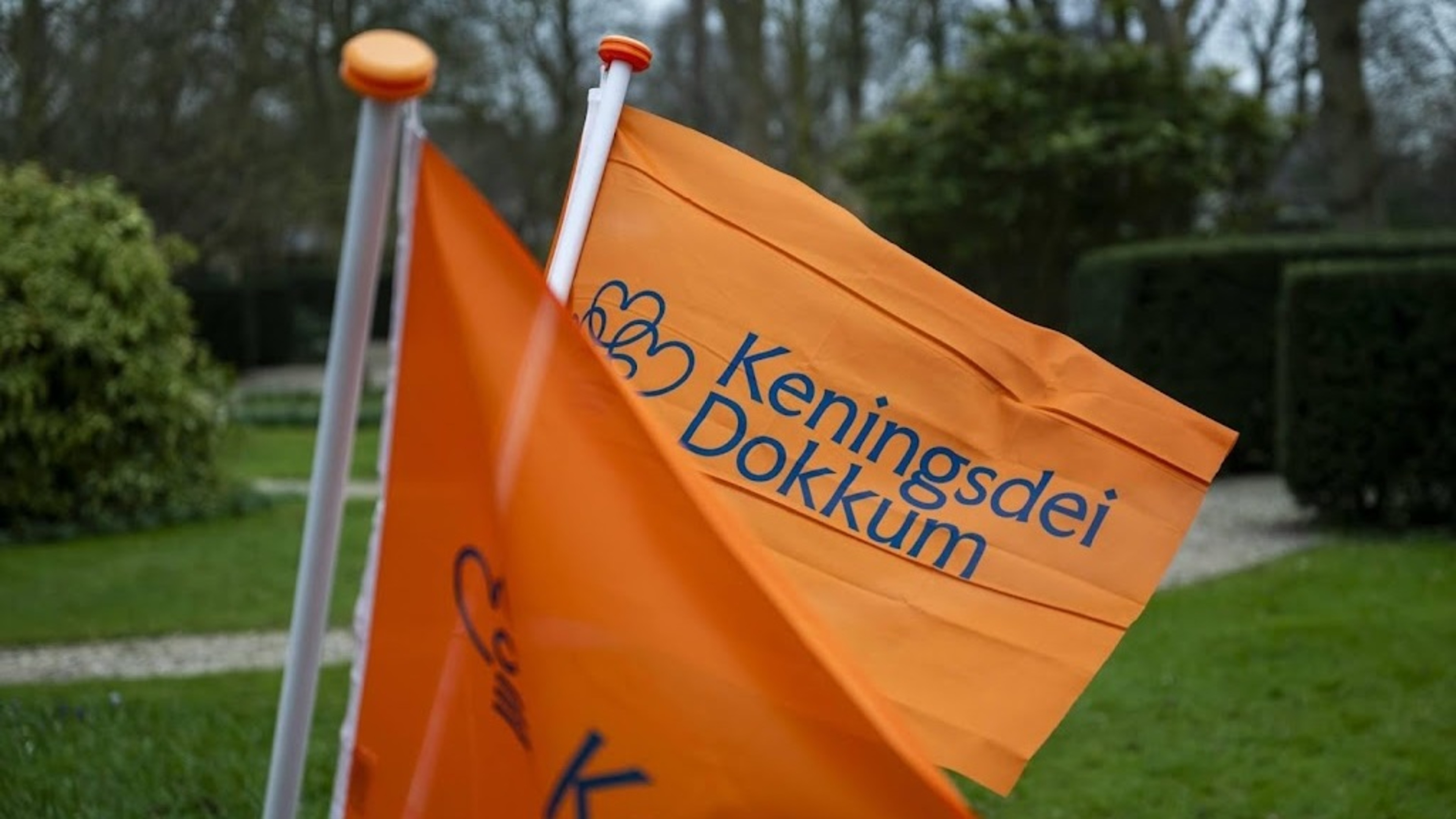 Dokkum celebrates King's Day over the weekend with a King's song