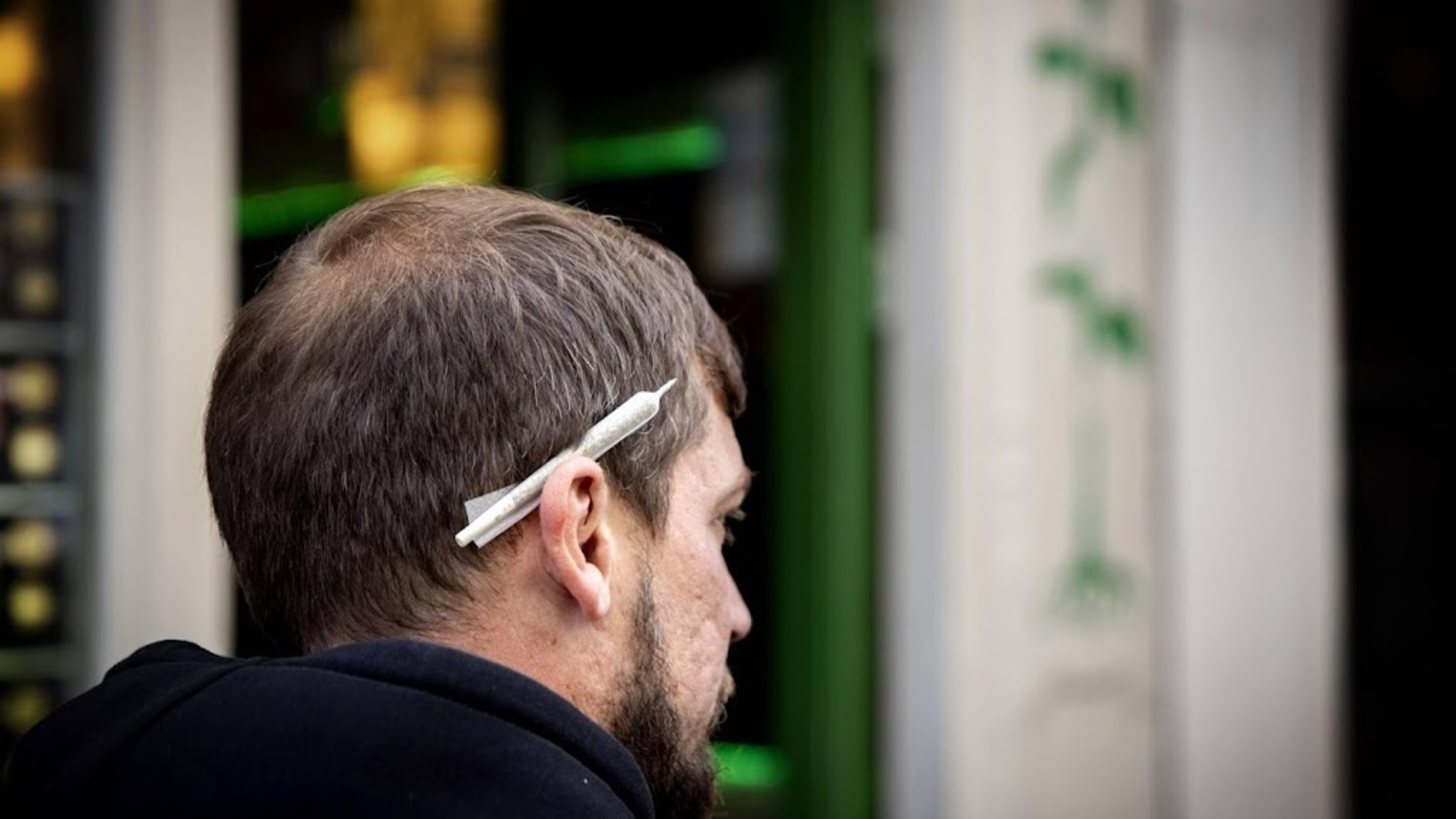 NFI: cannabis and amphetamines most detected drugs in traffic