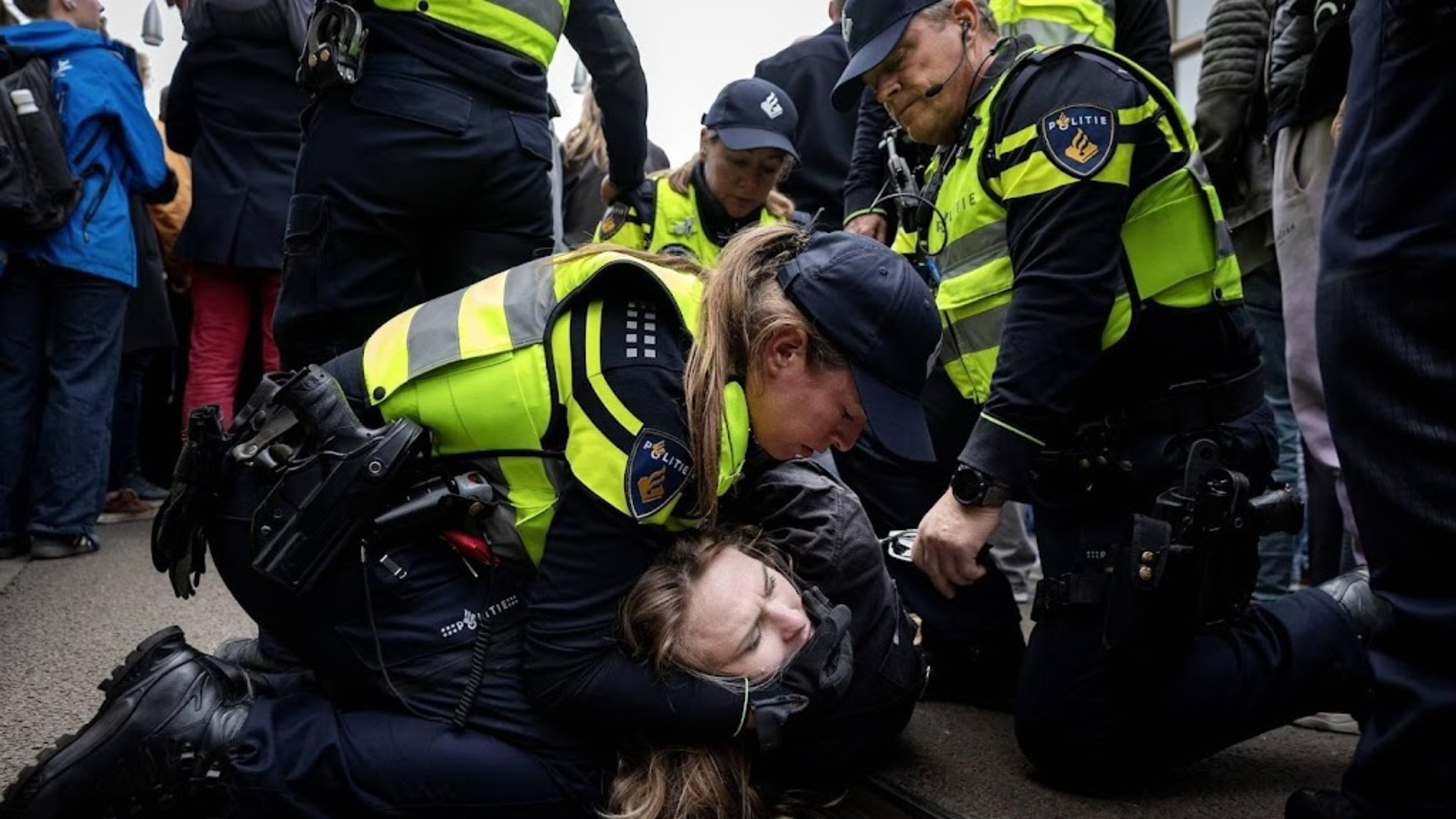 Most Remembrance Day protesters released