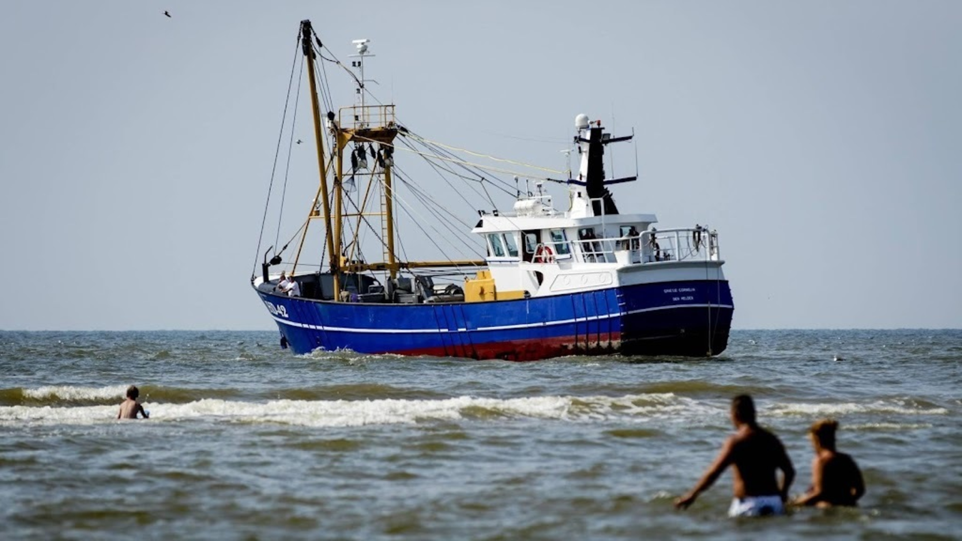 Trawling on Dogger Bank prohibited without permit