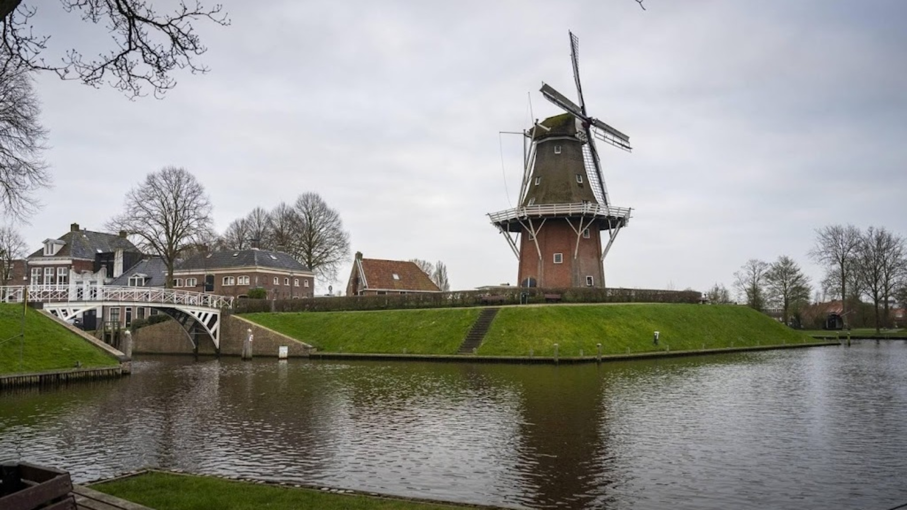Three demonstrations registered for King's Day in Dokkum