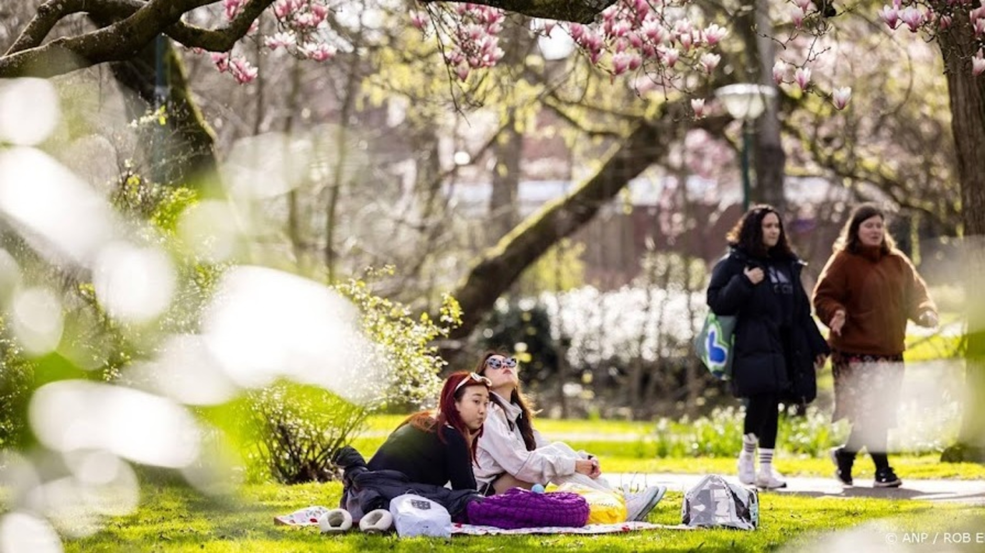 Warm spring weather on the way with sunshine and dry spells