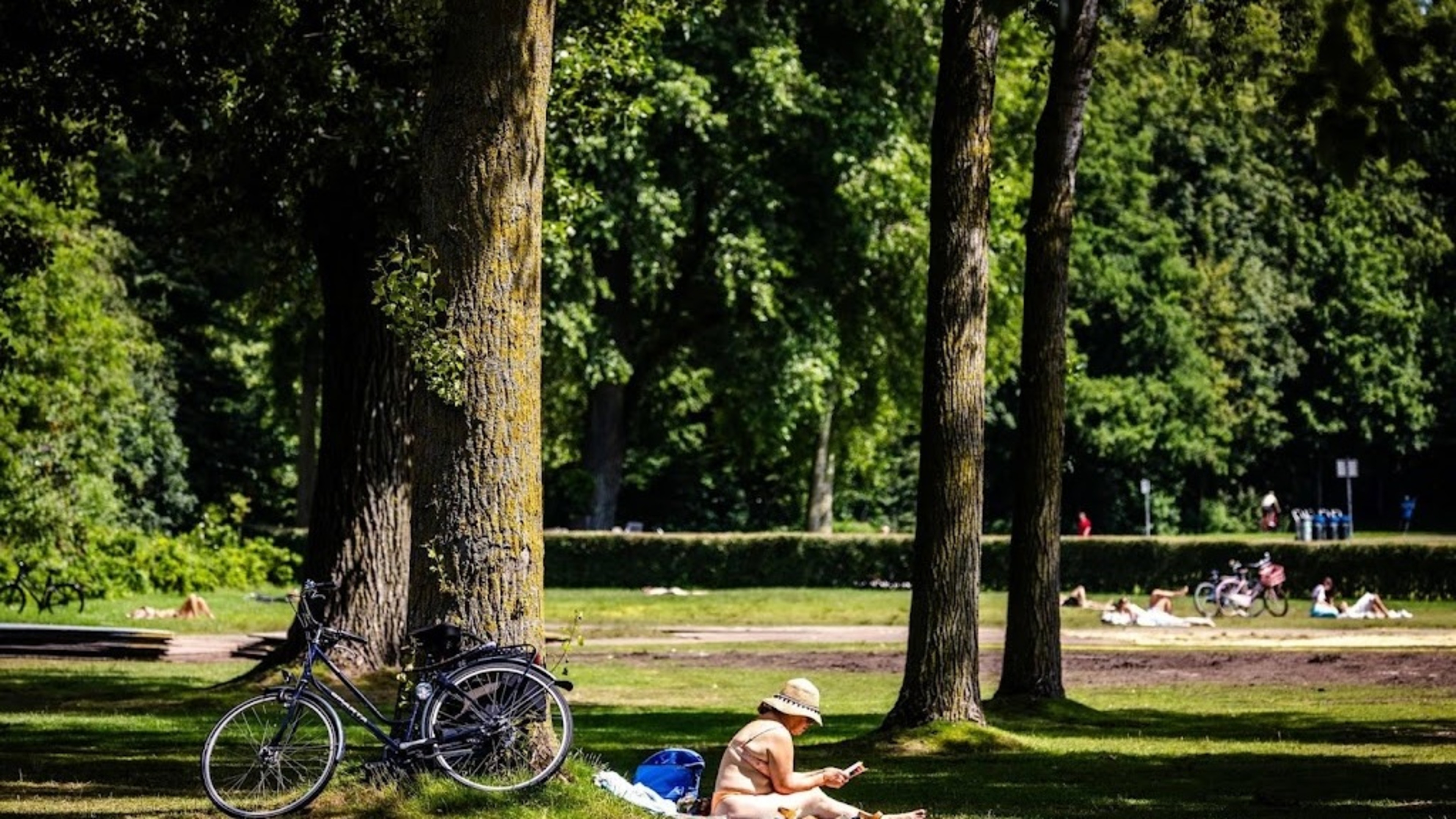Weeronline: officially warmest June 24 ever recorded