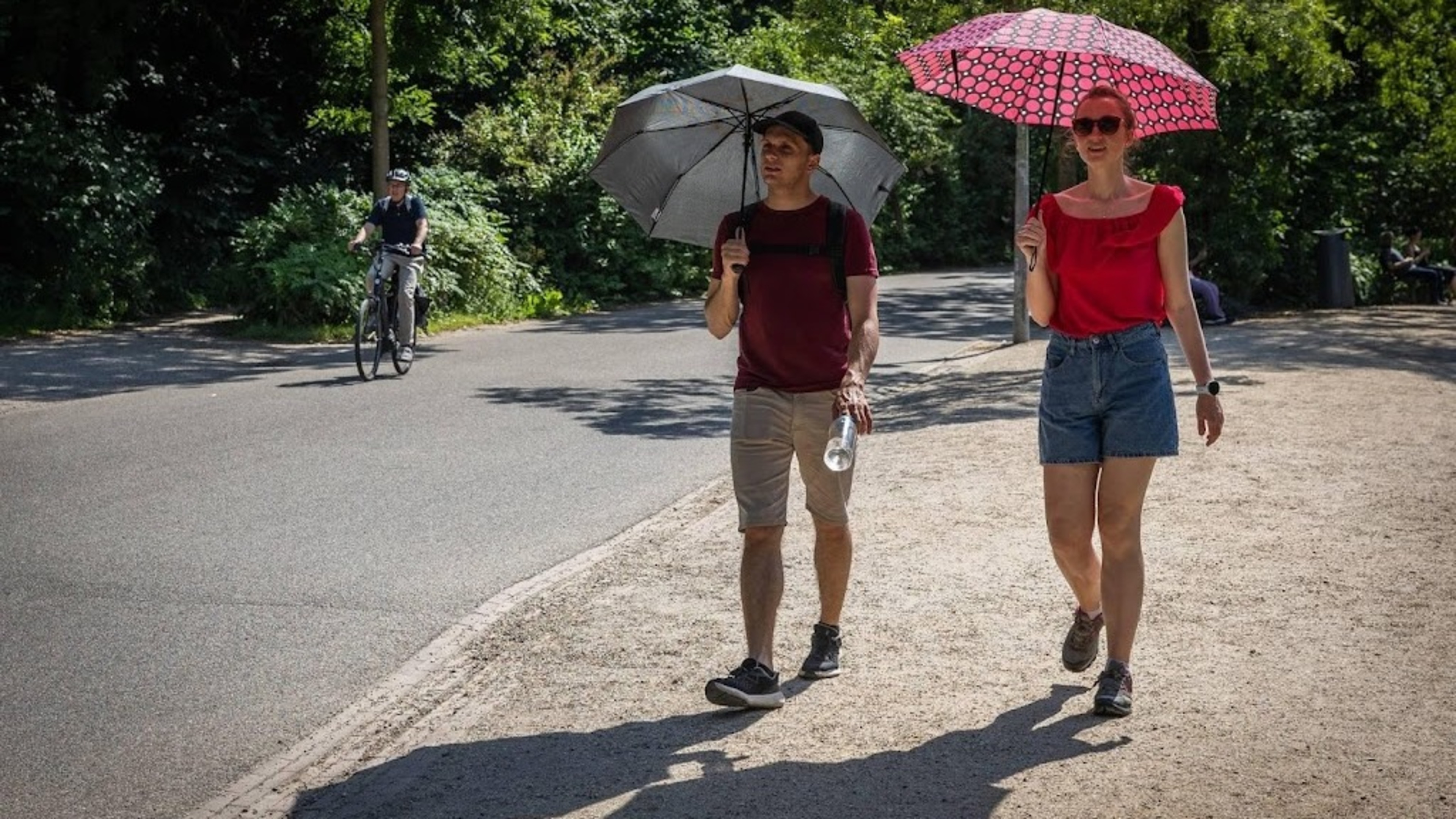 Code orange in effect across much of the Netherlands due to extreme heat