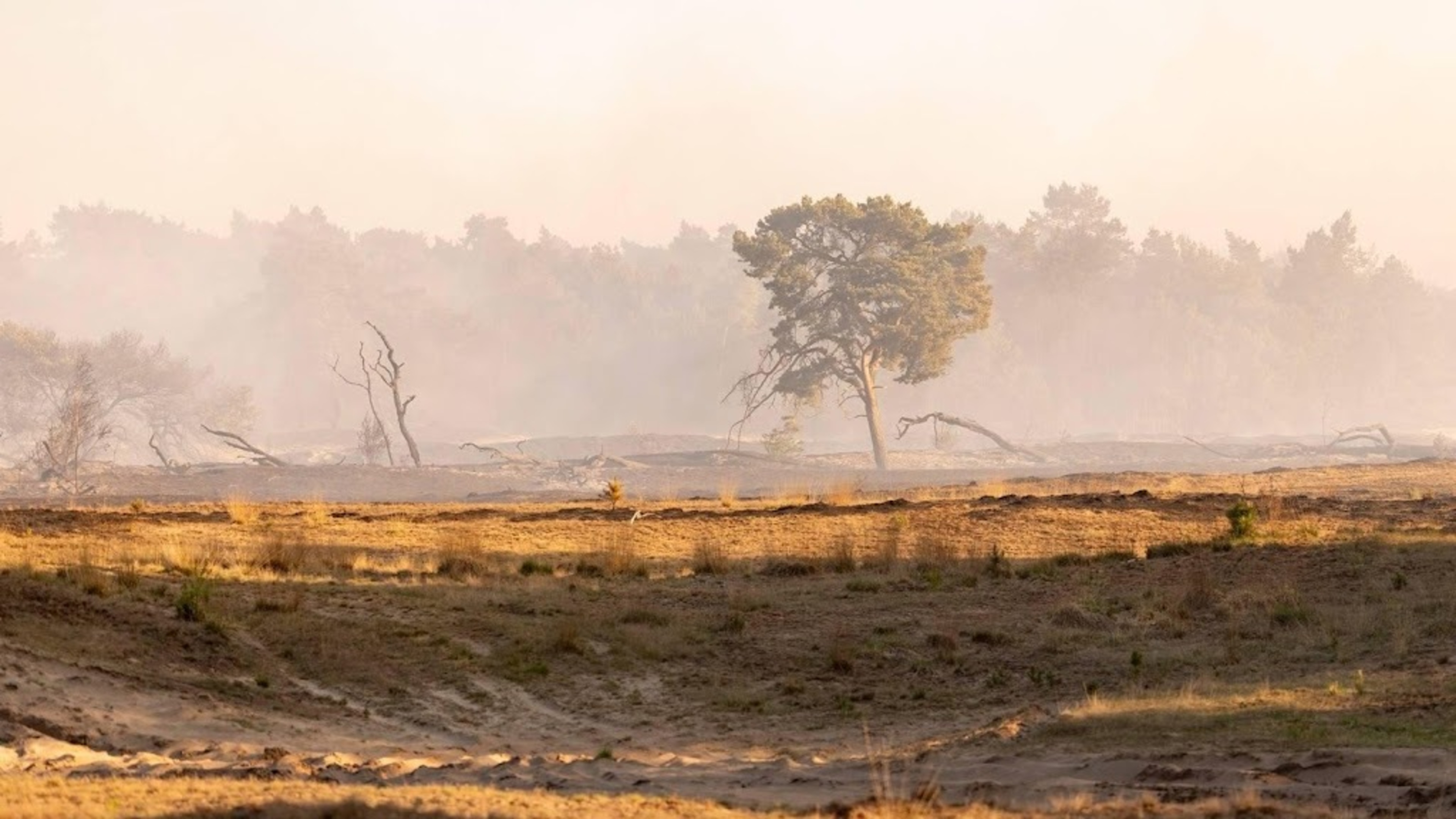 Drought increases due to hot and sunny weather