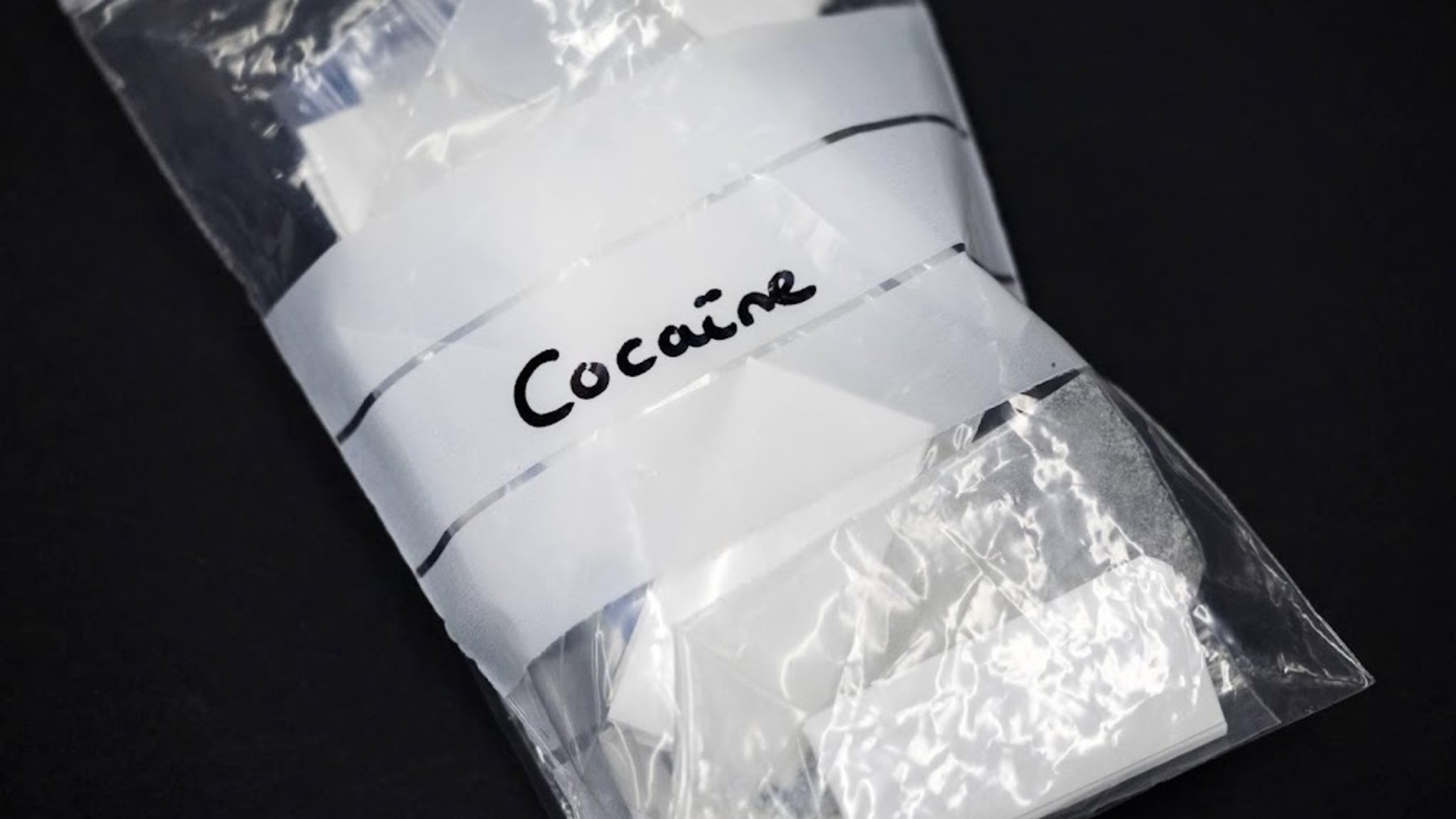Cocaine processing in EU takes place mainly in the Netherlands
