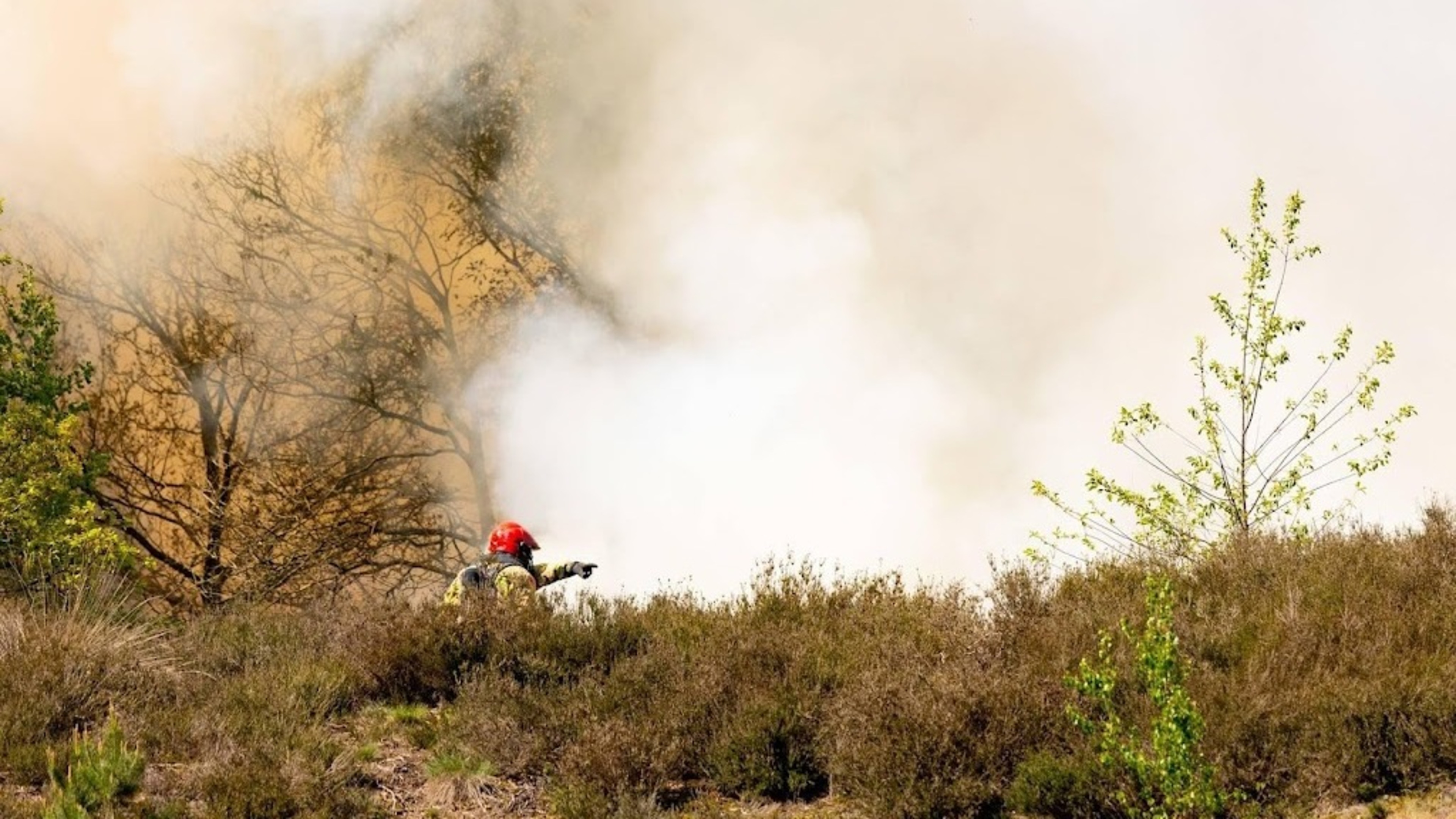 Fire flares up again in burnt nature area near Oirschot