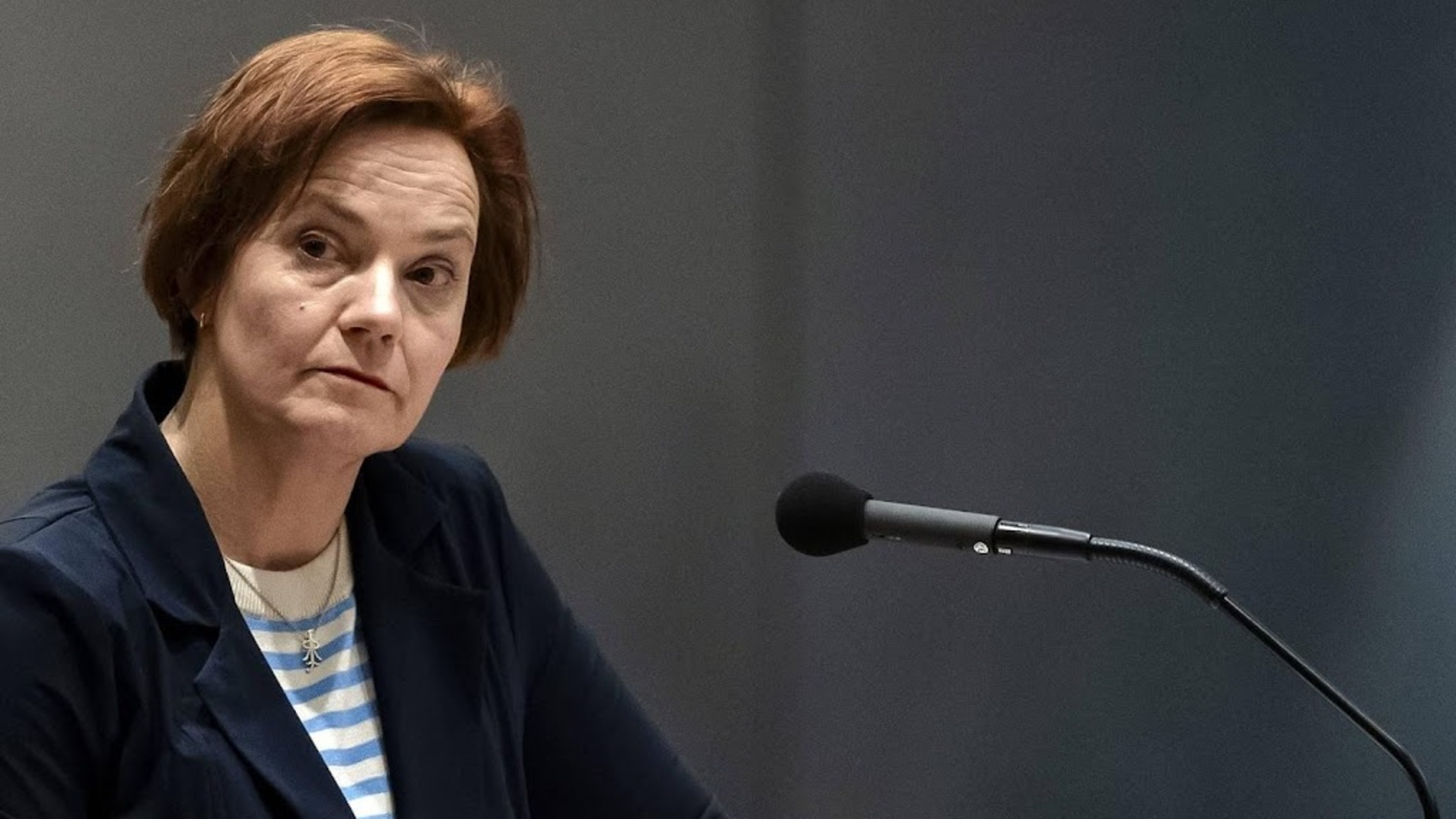 Large part of Parliament critical of ambitious school advice