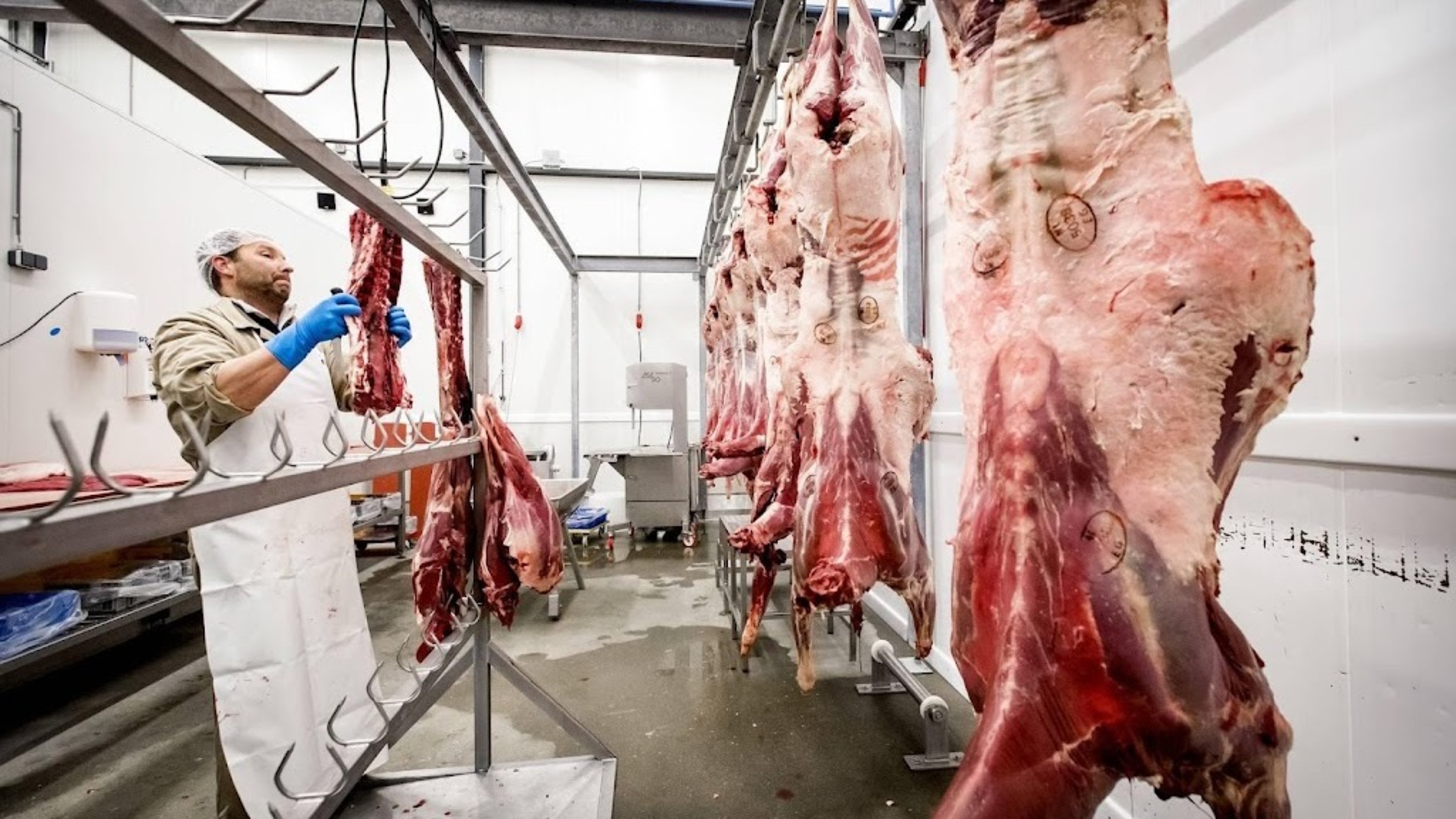 FNV welcomes ban on temporary agency workers in meat sector
