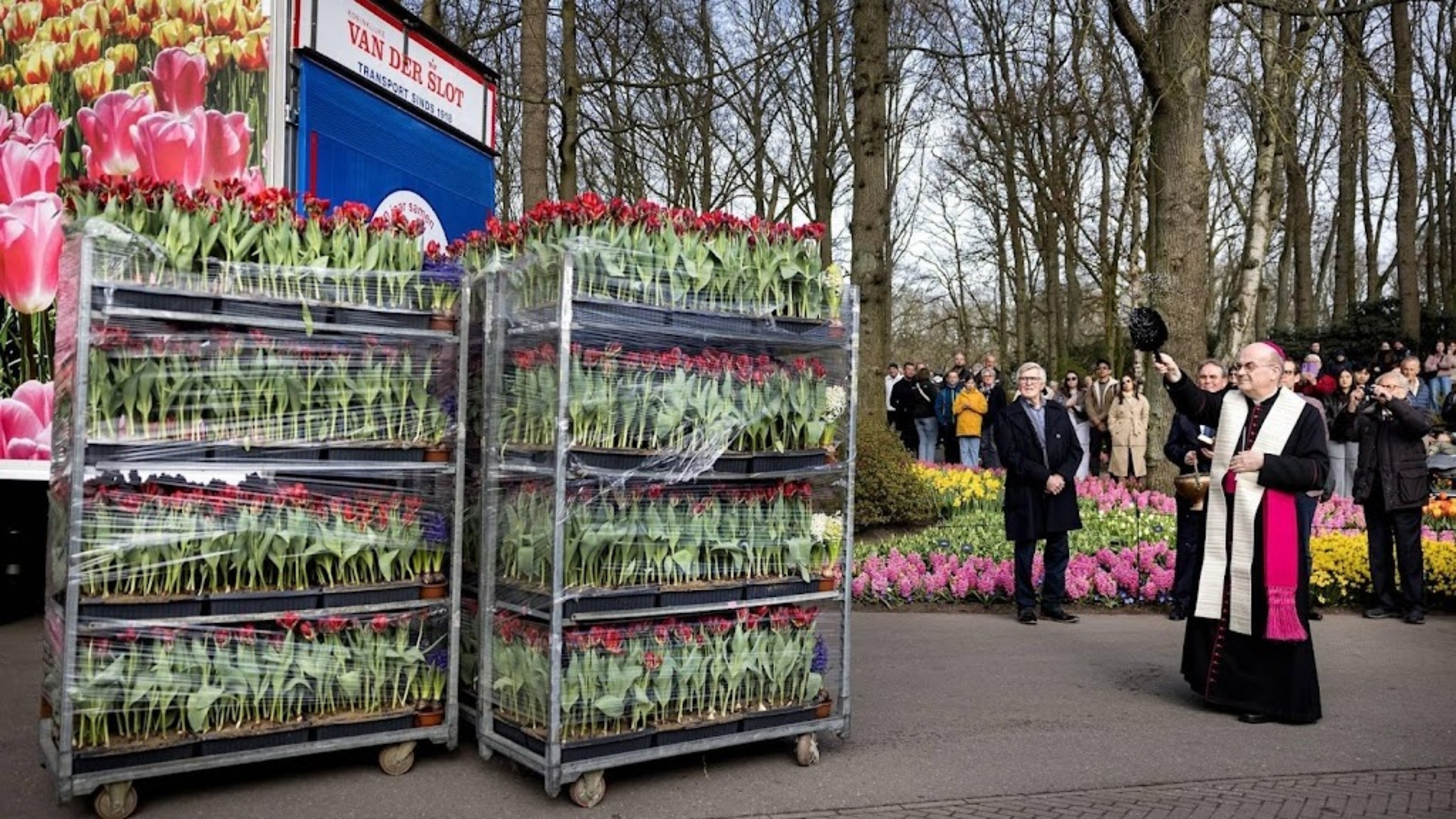 Thousands of blessed flowers leave Keukenhof for Rome