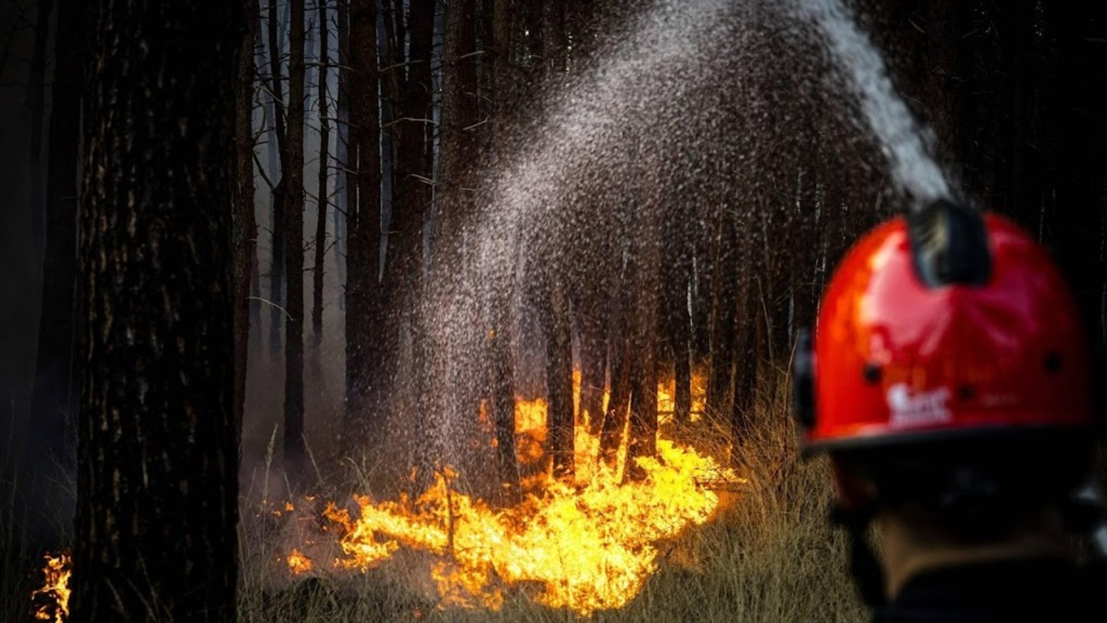 Increased risk of wildfires across nearly all of the Netherlands