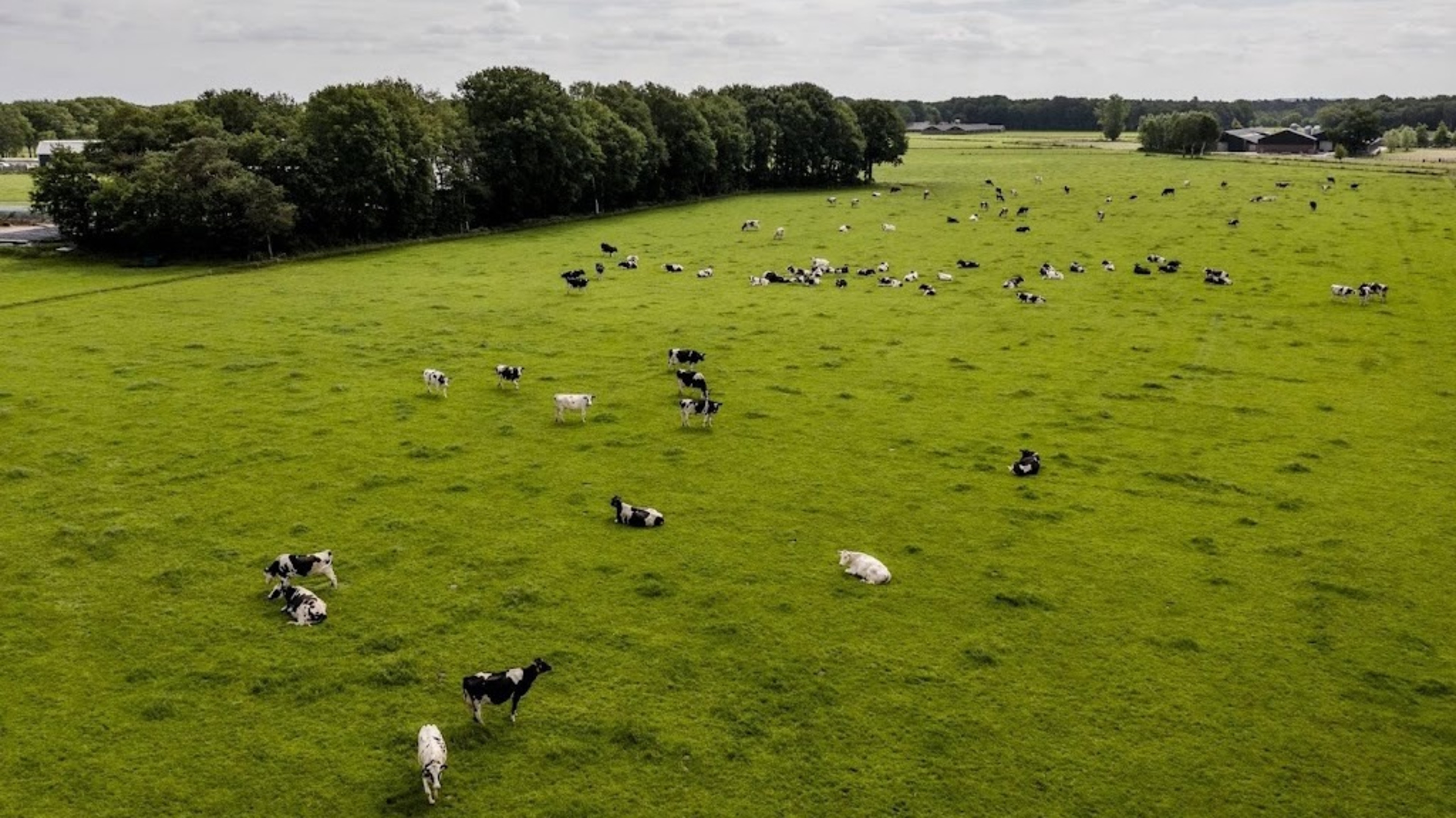 PBL: verdienmodel voor boer bij natuurgebied niet altijd haalbaar