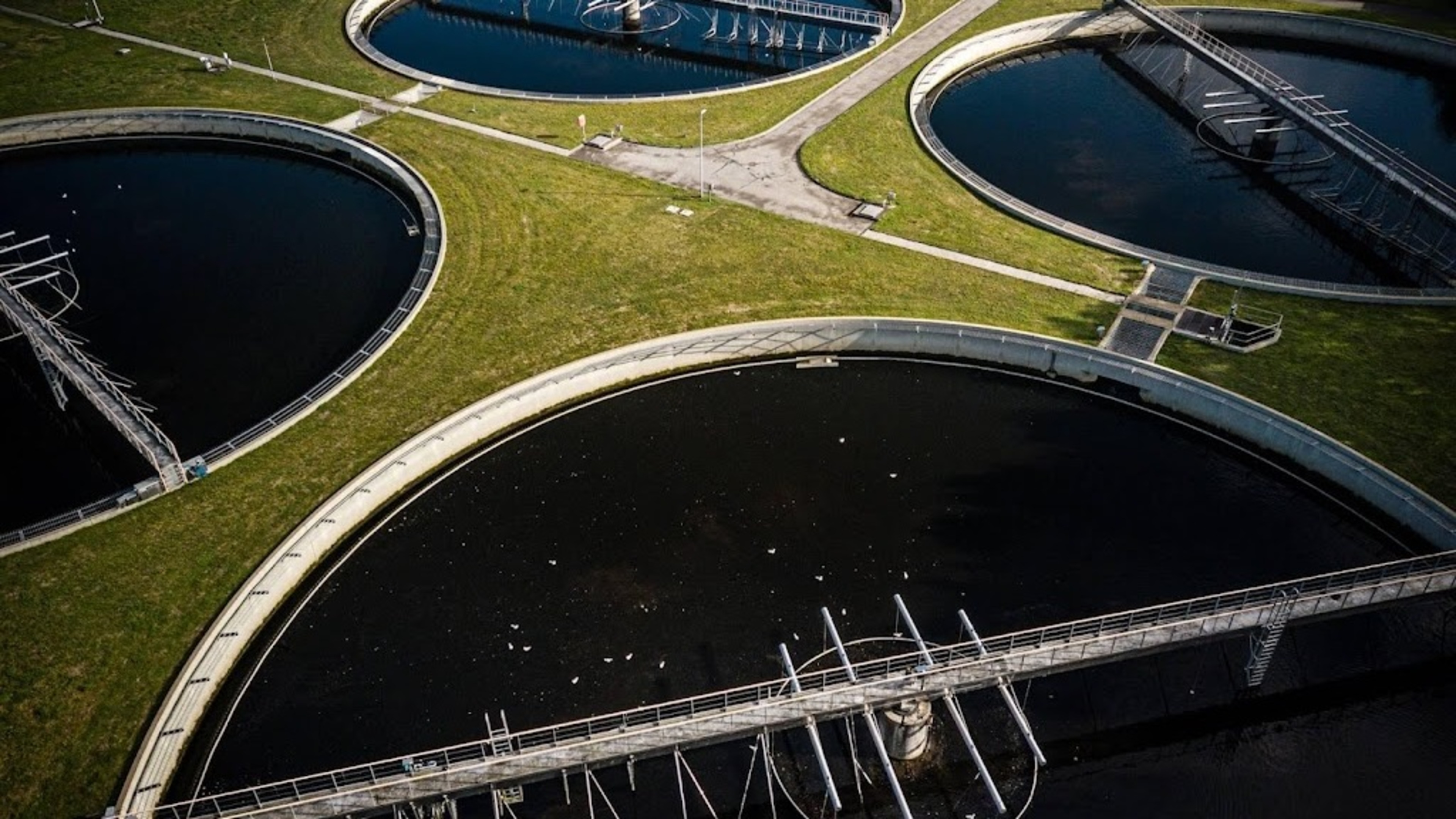 Limburg Water Board claims first in removing medicine residues