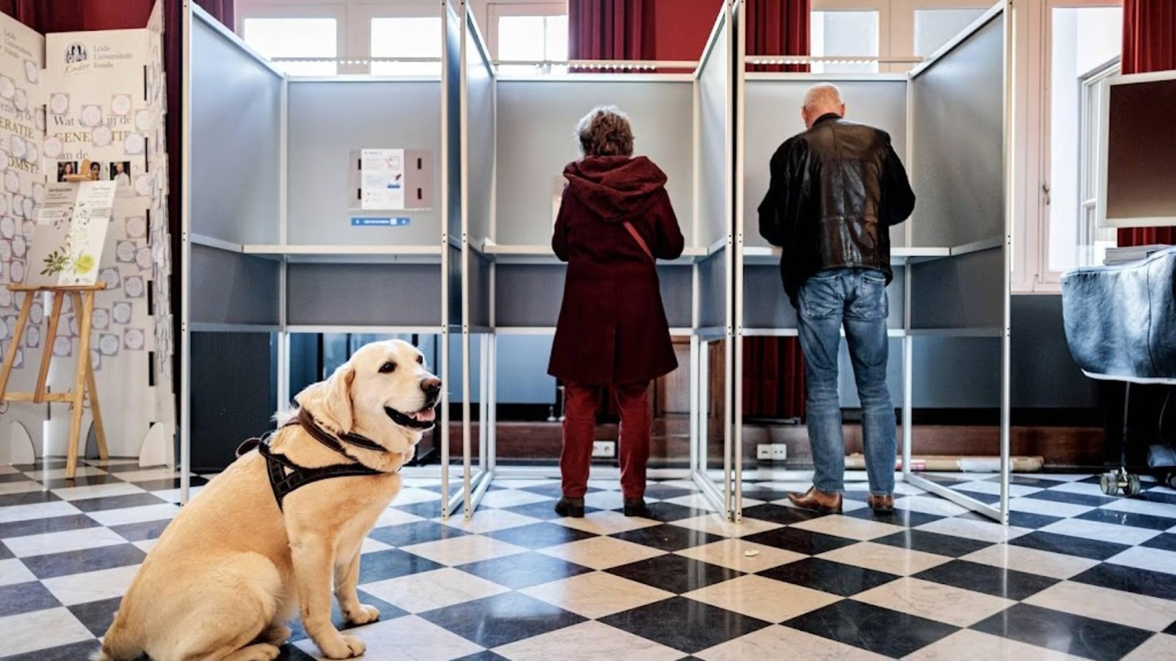 Local parties grow, losses for GroenLinks-PvdA, SP and CU