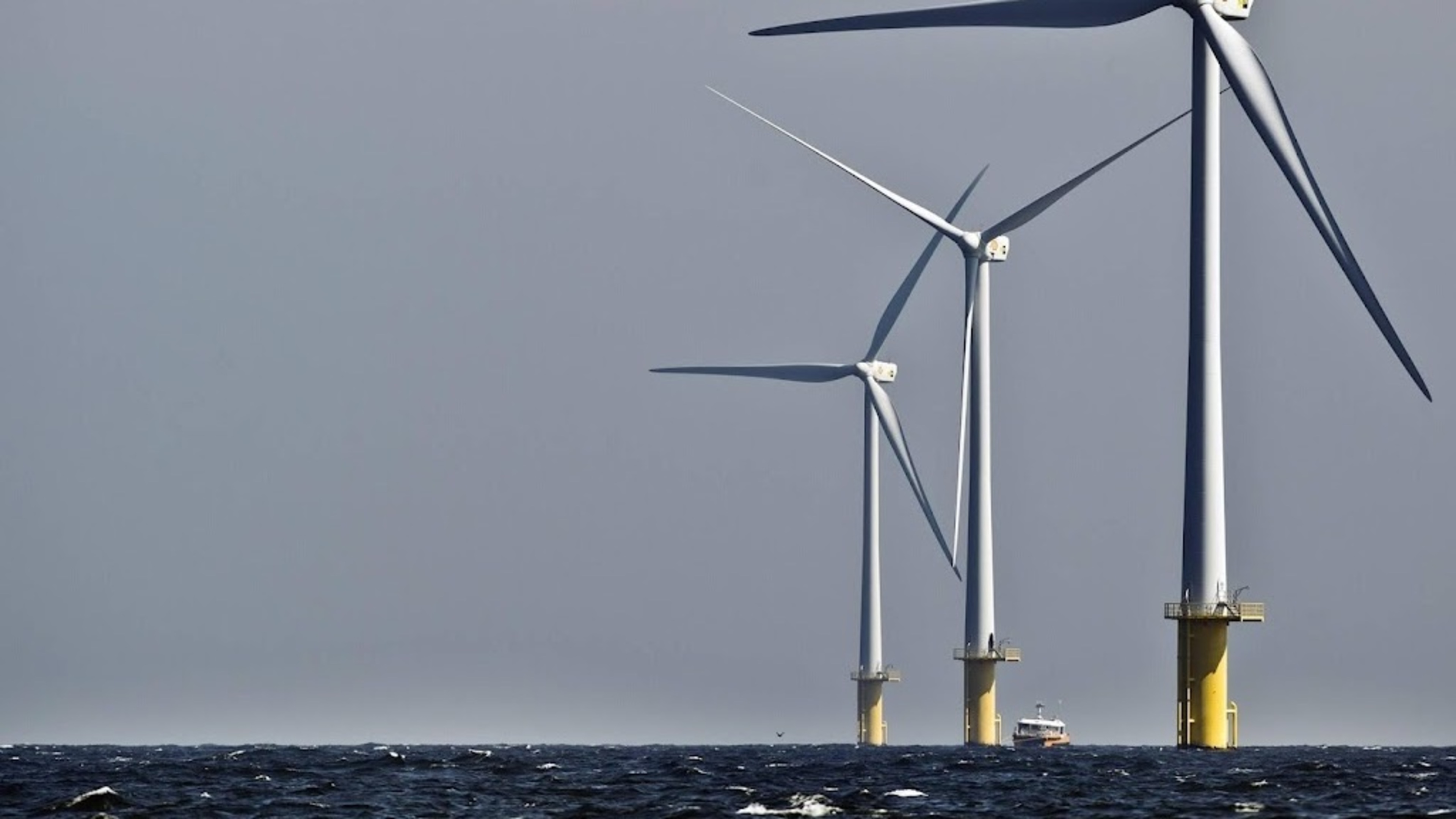 Shell and Eneco ignored advice to protect birds at wind farm