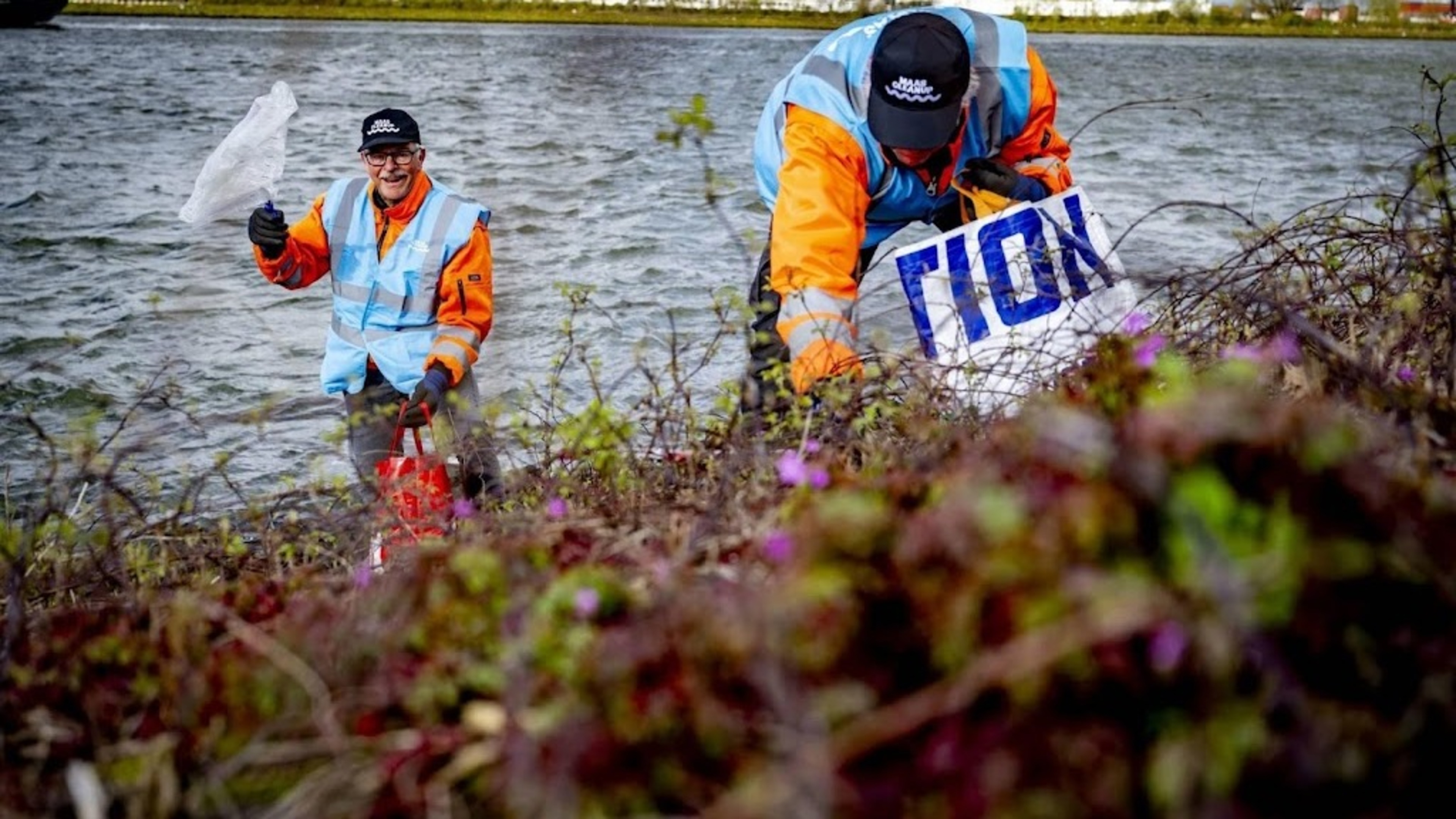 Tens of thousands of volunteers clean up trash in the area