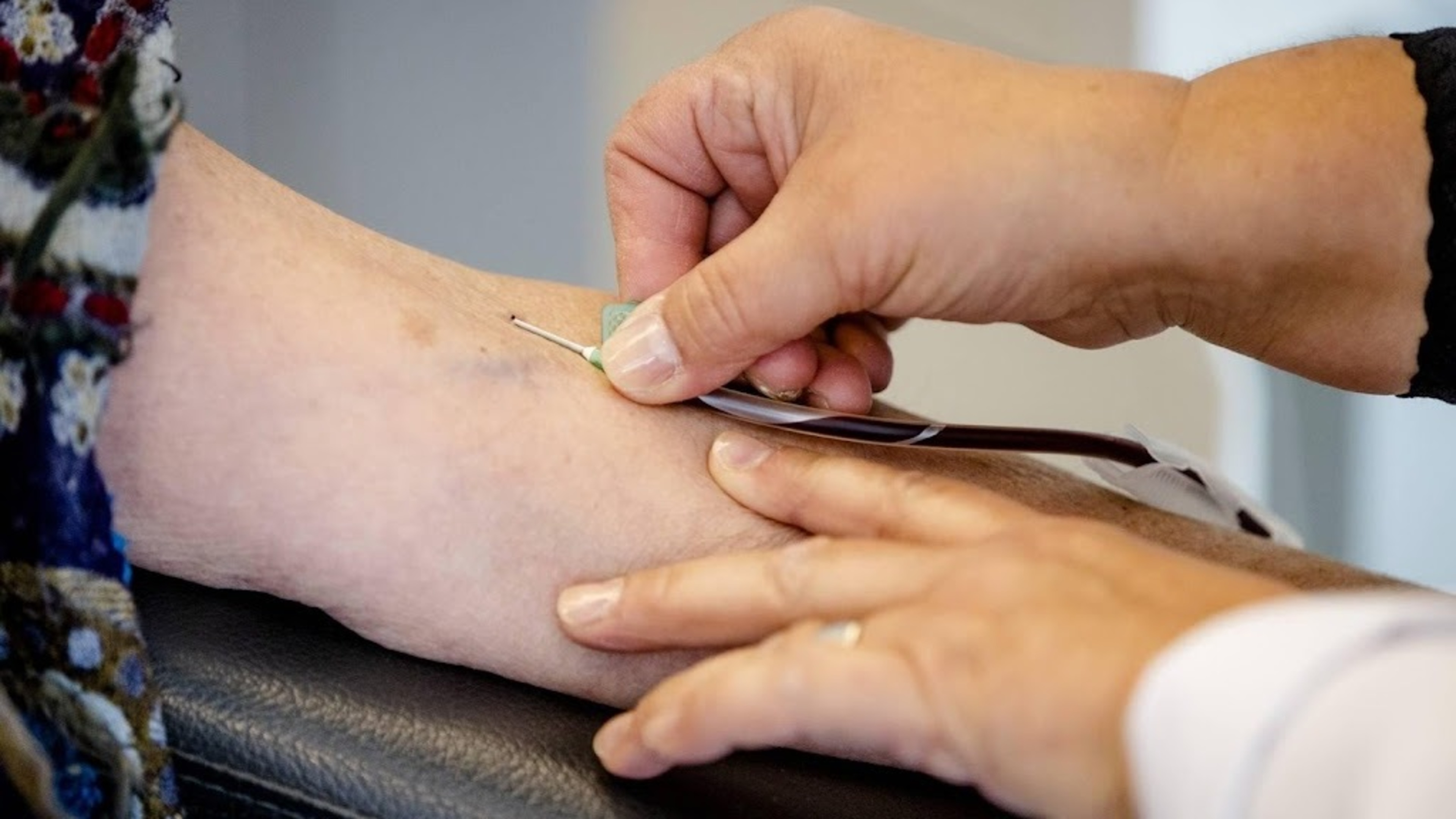 Donor clubs: More diverse donor pool needed to combat inequality of opportunity