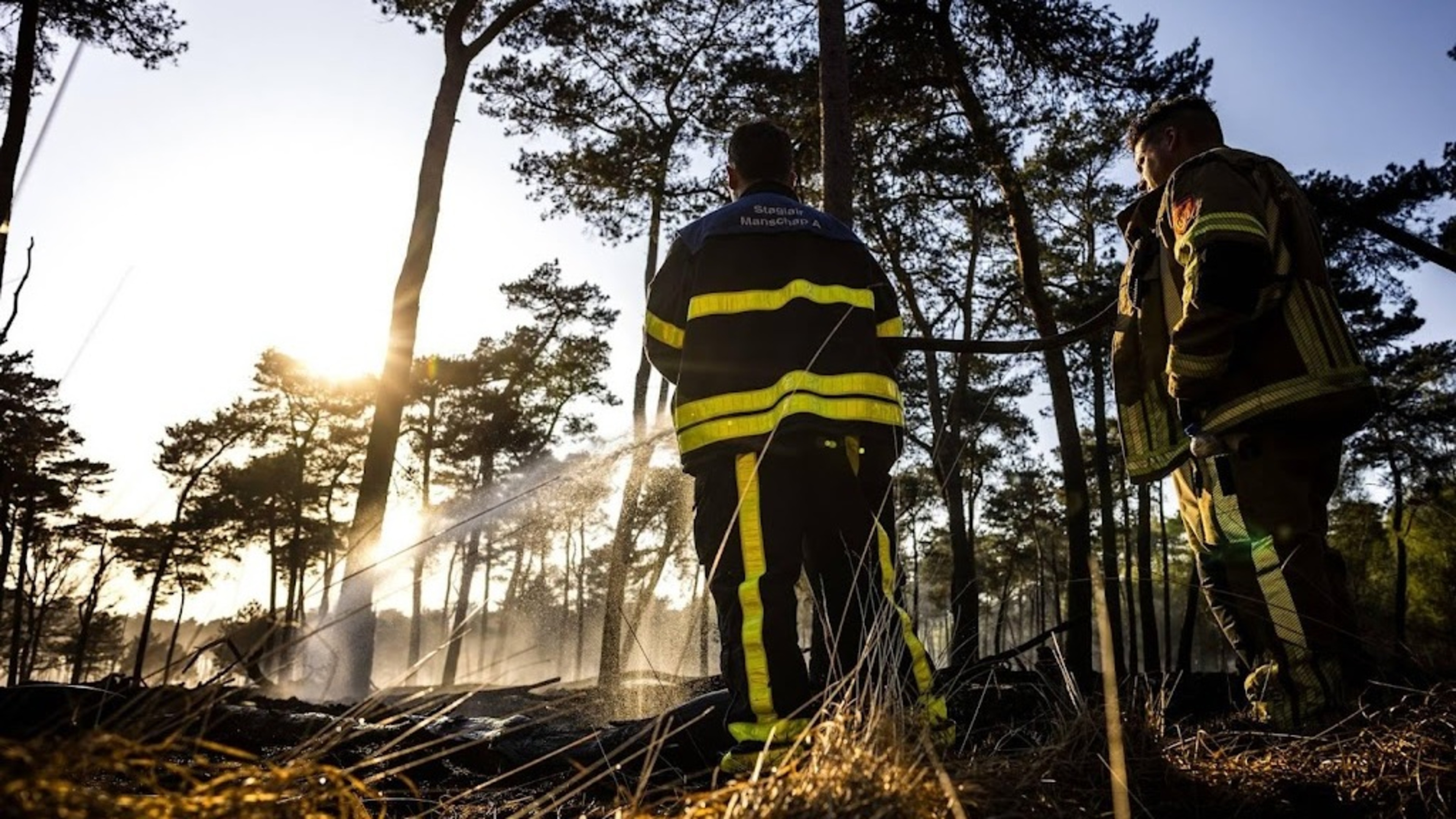 Large wildfire in Helden, Limburg