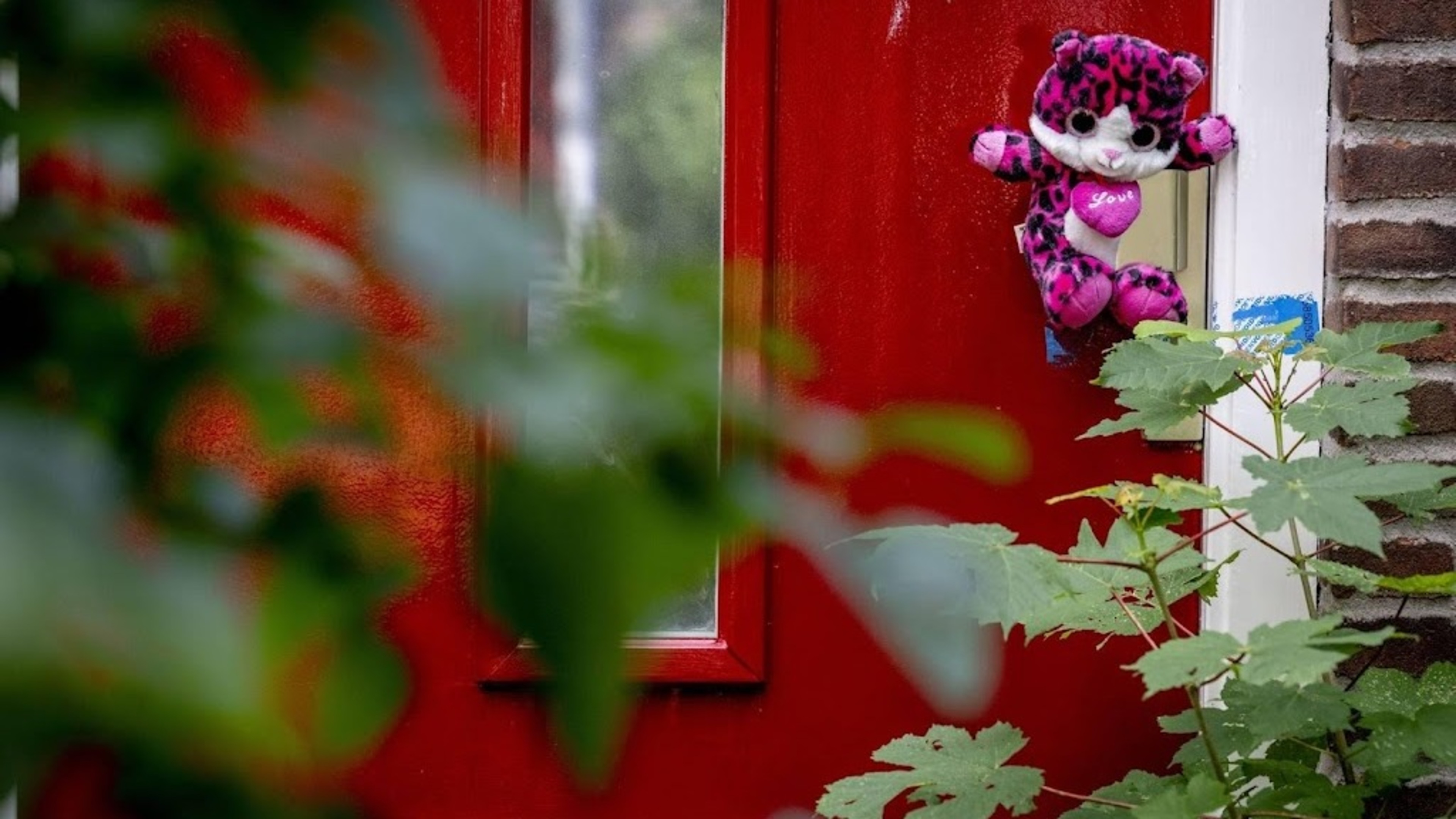 Vlaardingen foster parents lose custody of their own child