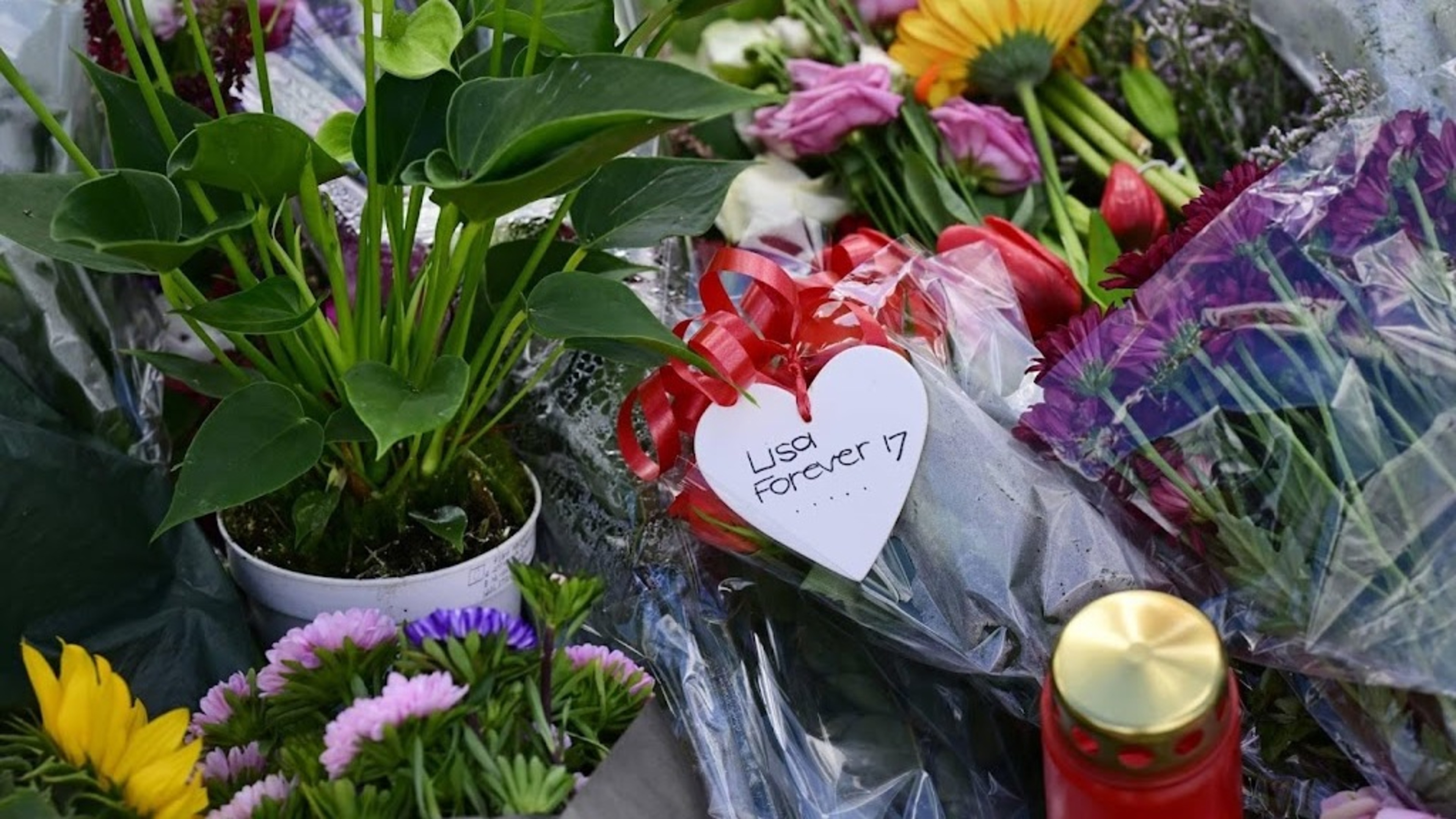 Lawyer: Lisa's family suffering from debate over police systems