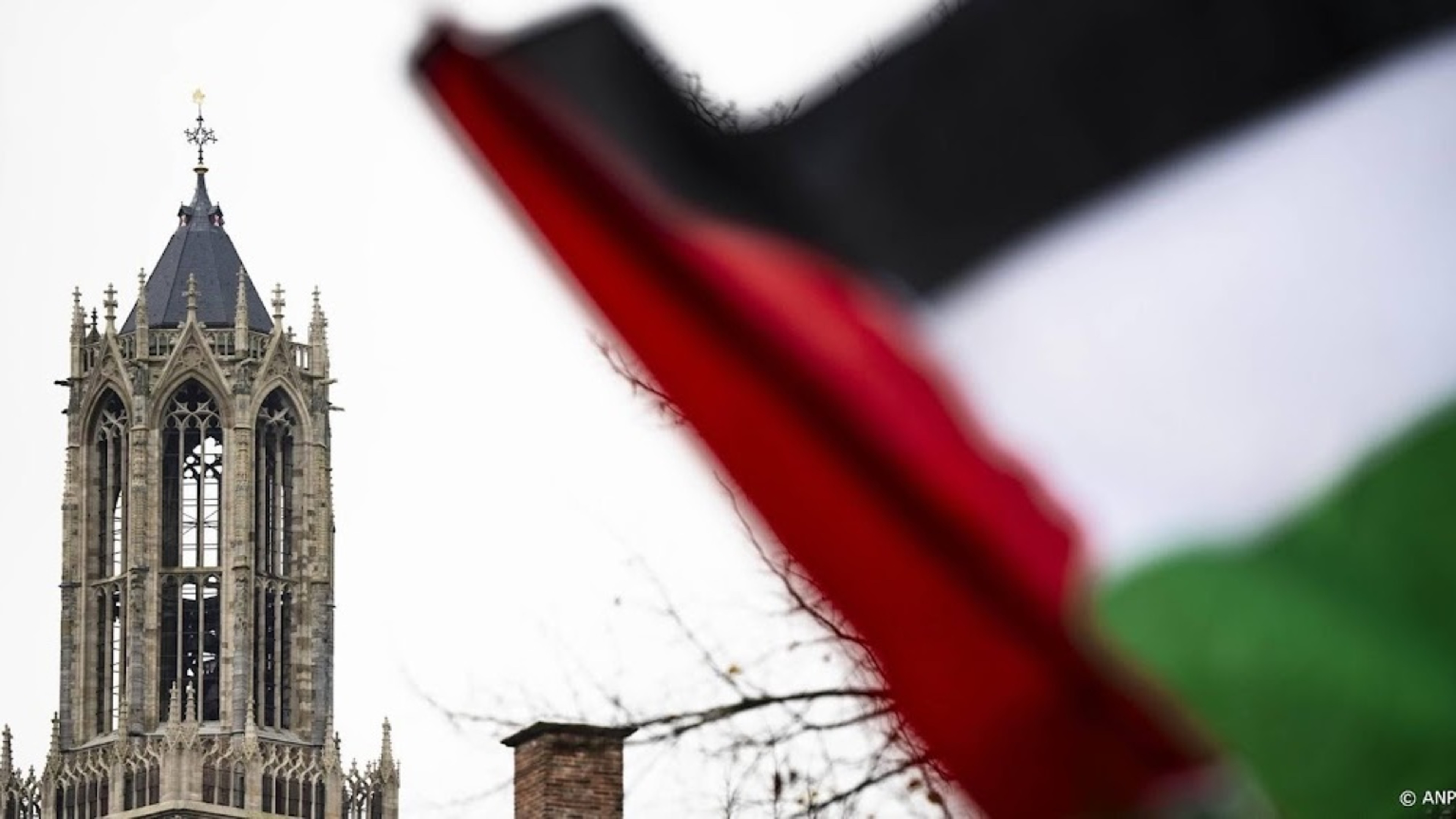 Utrecht University grants scholarships to seven students from Gaza