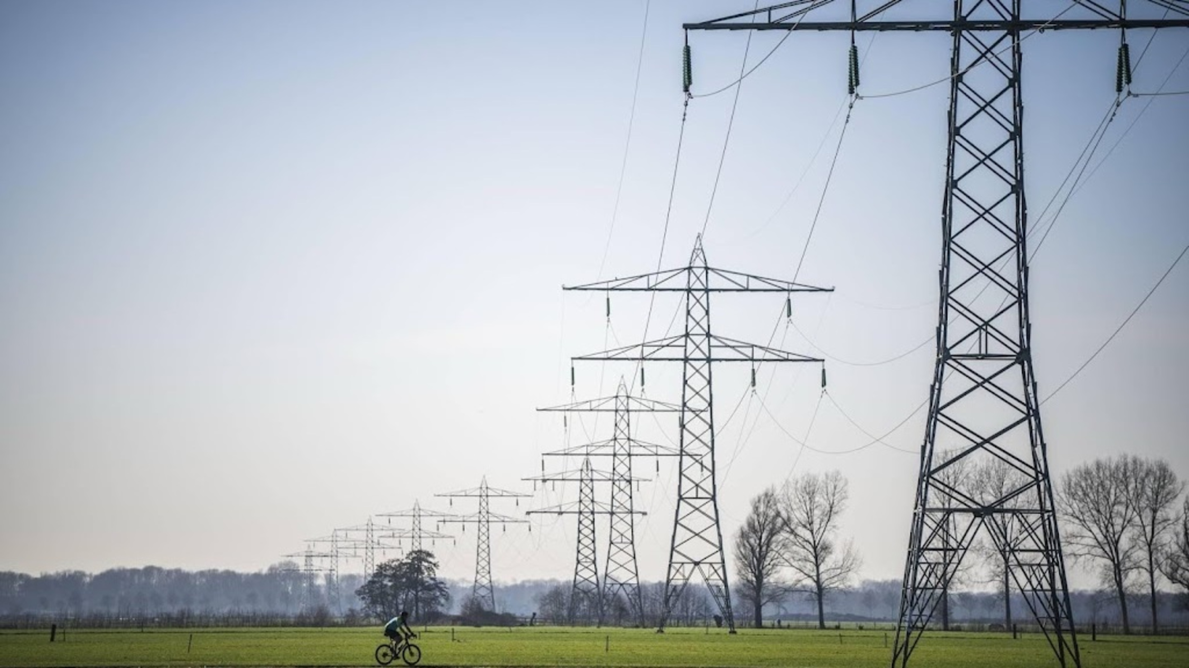 Entrepreneurs call on cabinet for crisis approach to grid congestion
