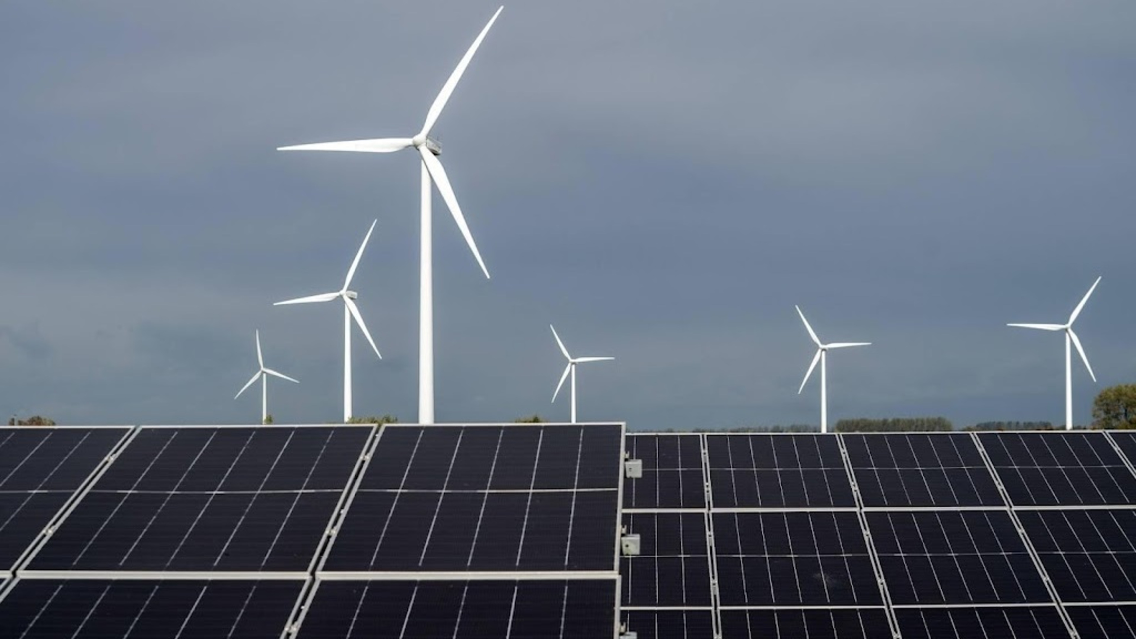 Lowest growth in onshore wind energy in years, RVO reports