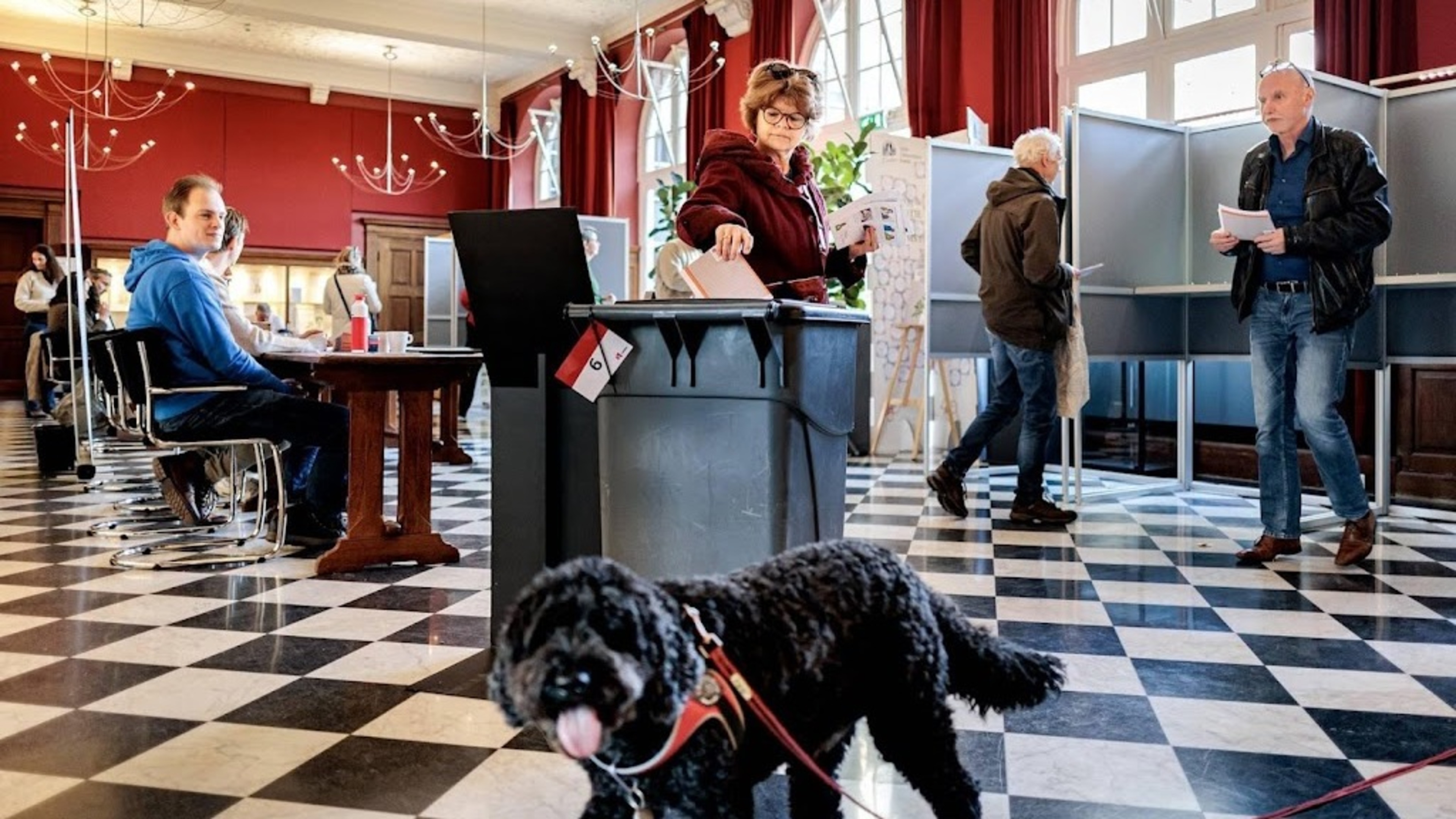 National turnout for municipal elections 53.7 percent