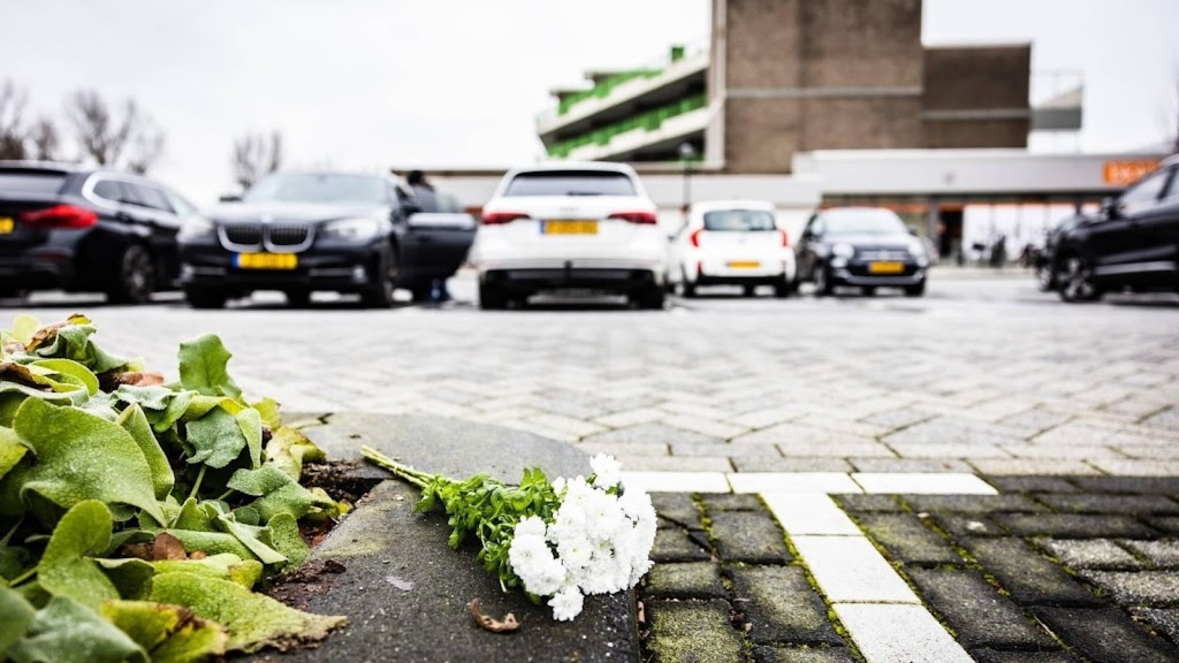 Shooter in fatal Zwijndrecht shooting files summary proceedings