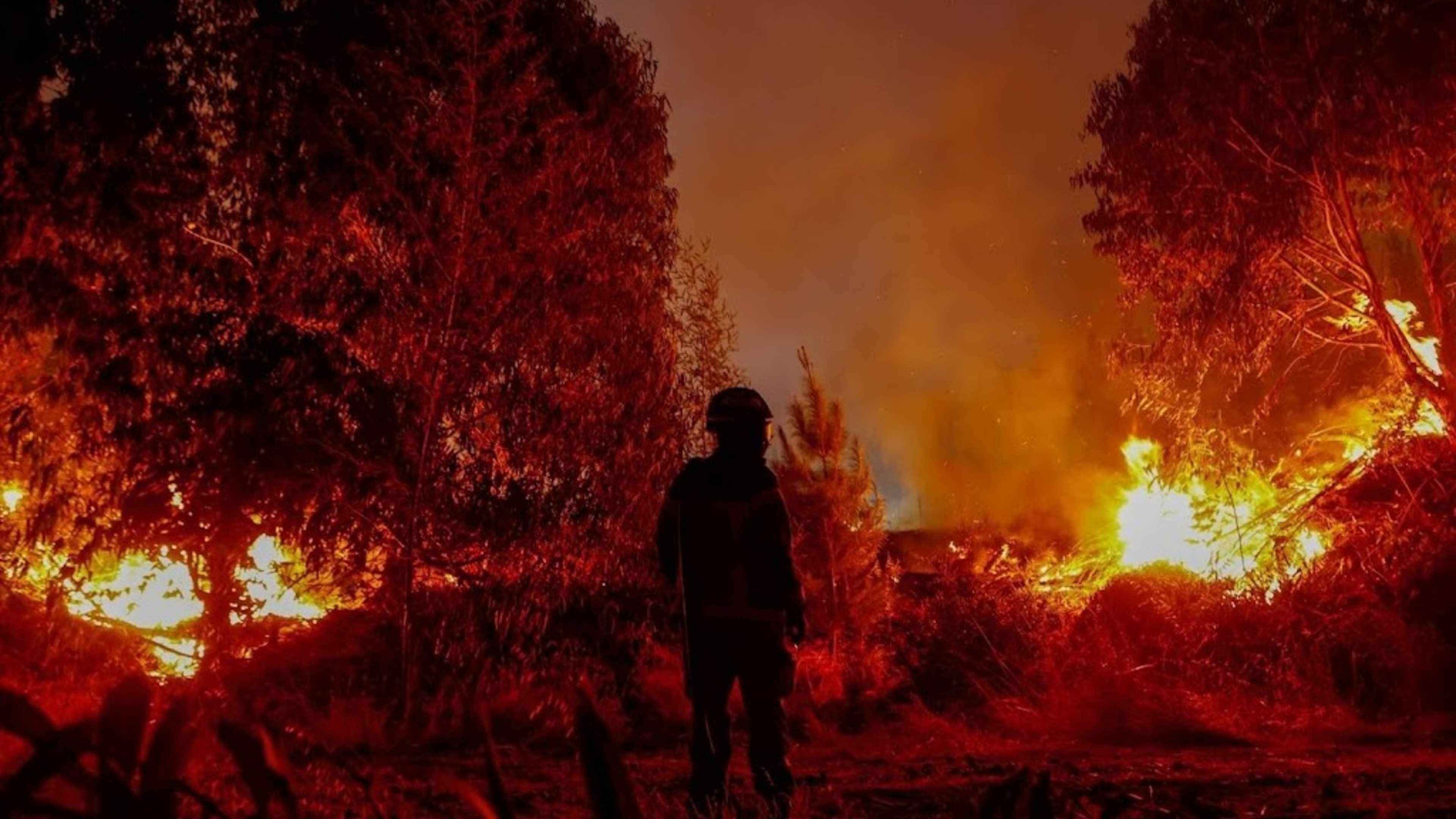 Significantly more wildfires in 2025 due to drought