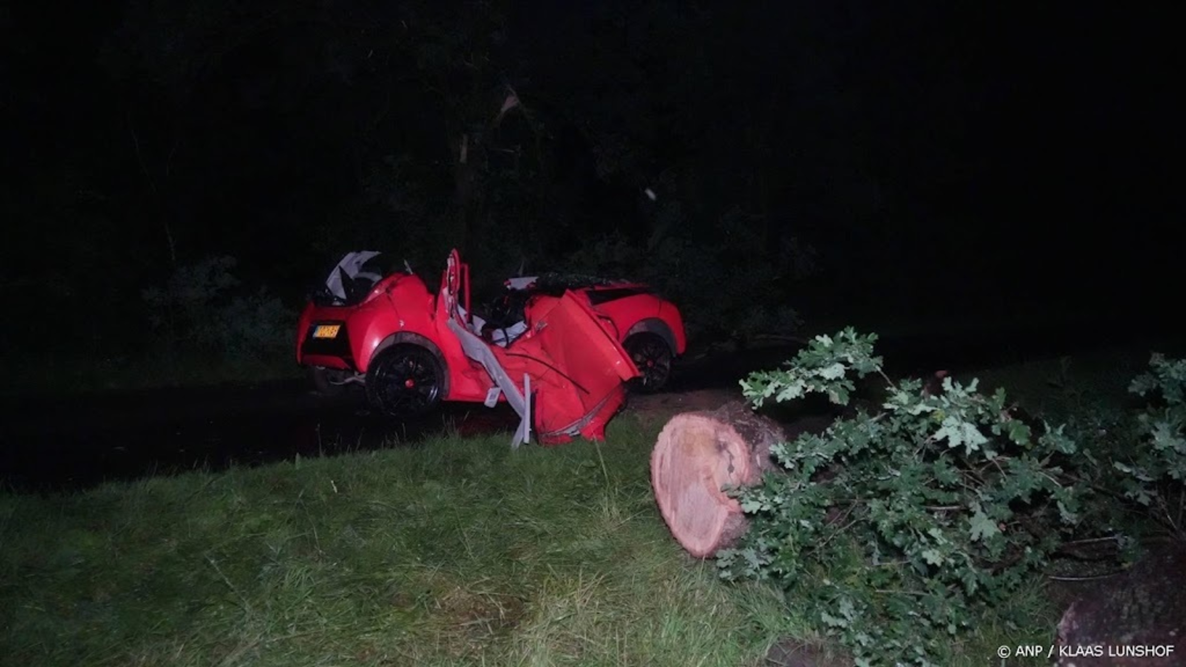 Woman killed in Drenthe as tree falls on car during storm