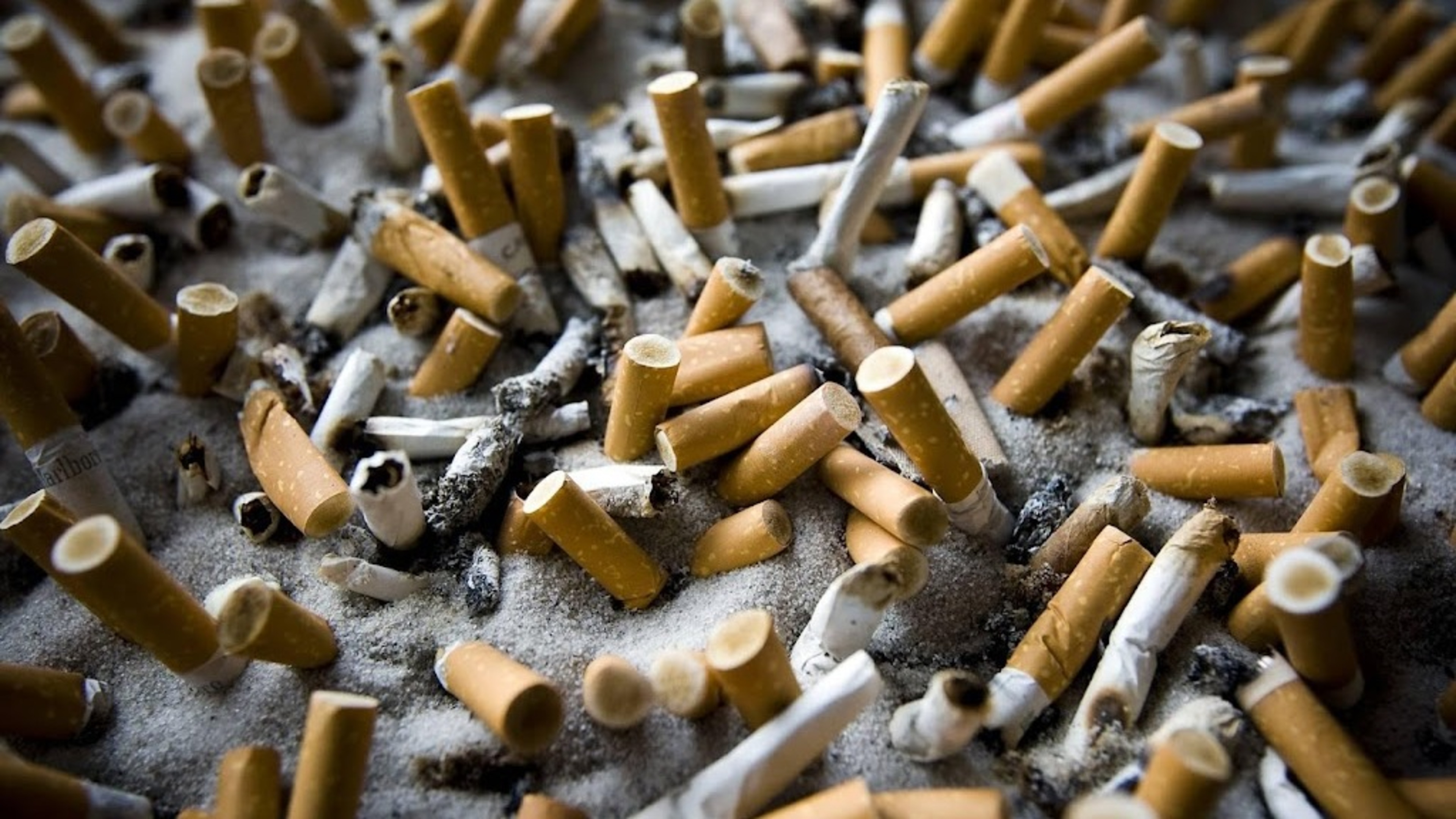 RIVM proposes ban on cigarette filters over microplastics