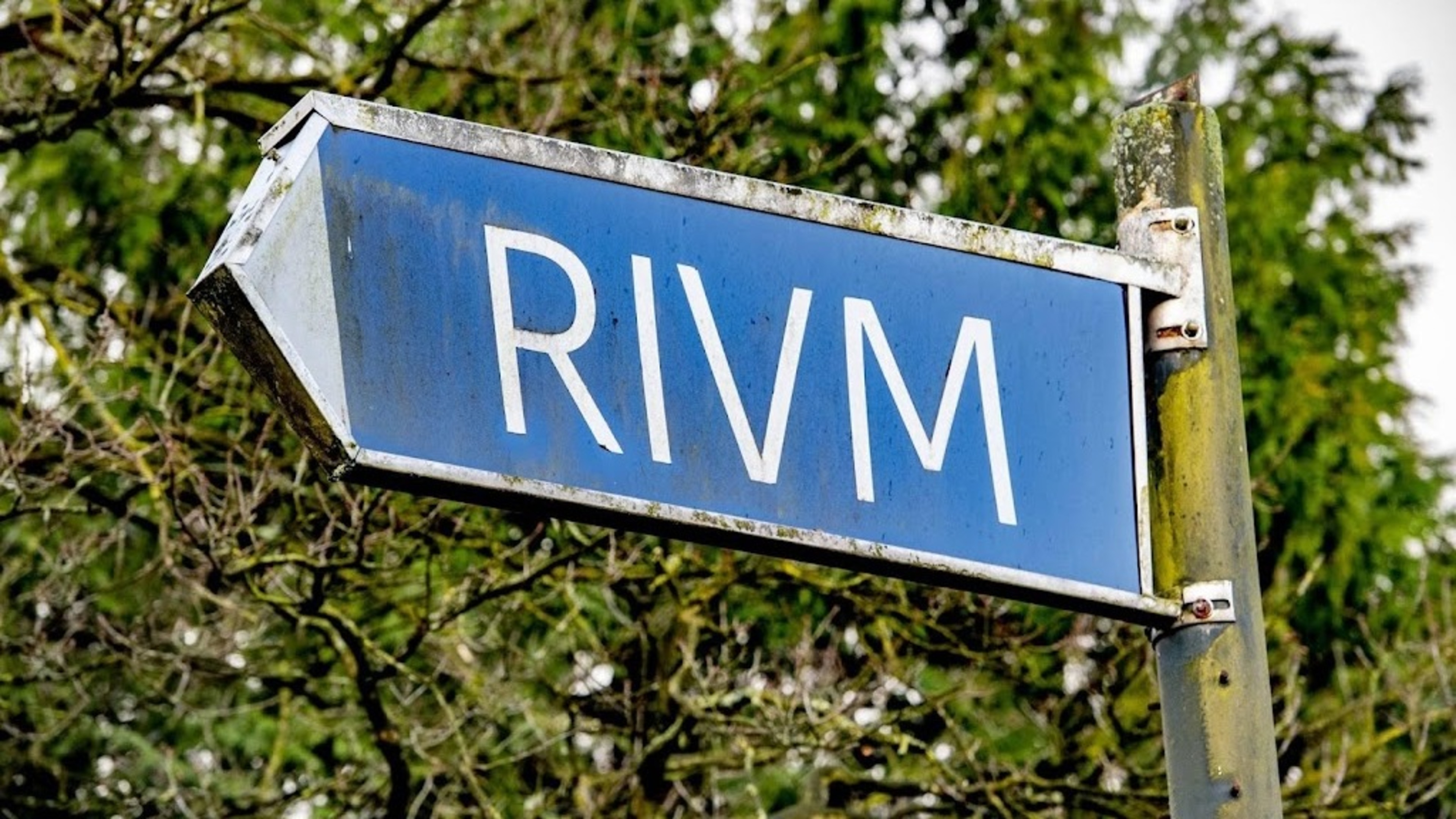 RIVM: Hantavirus not transmissible from human to human