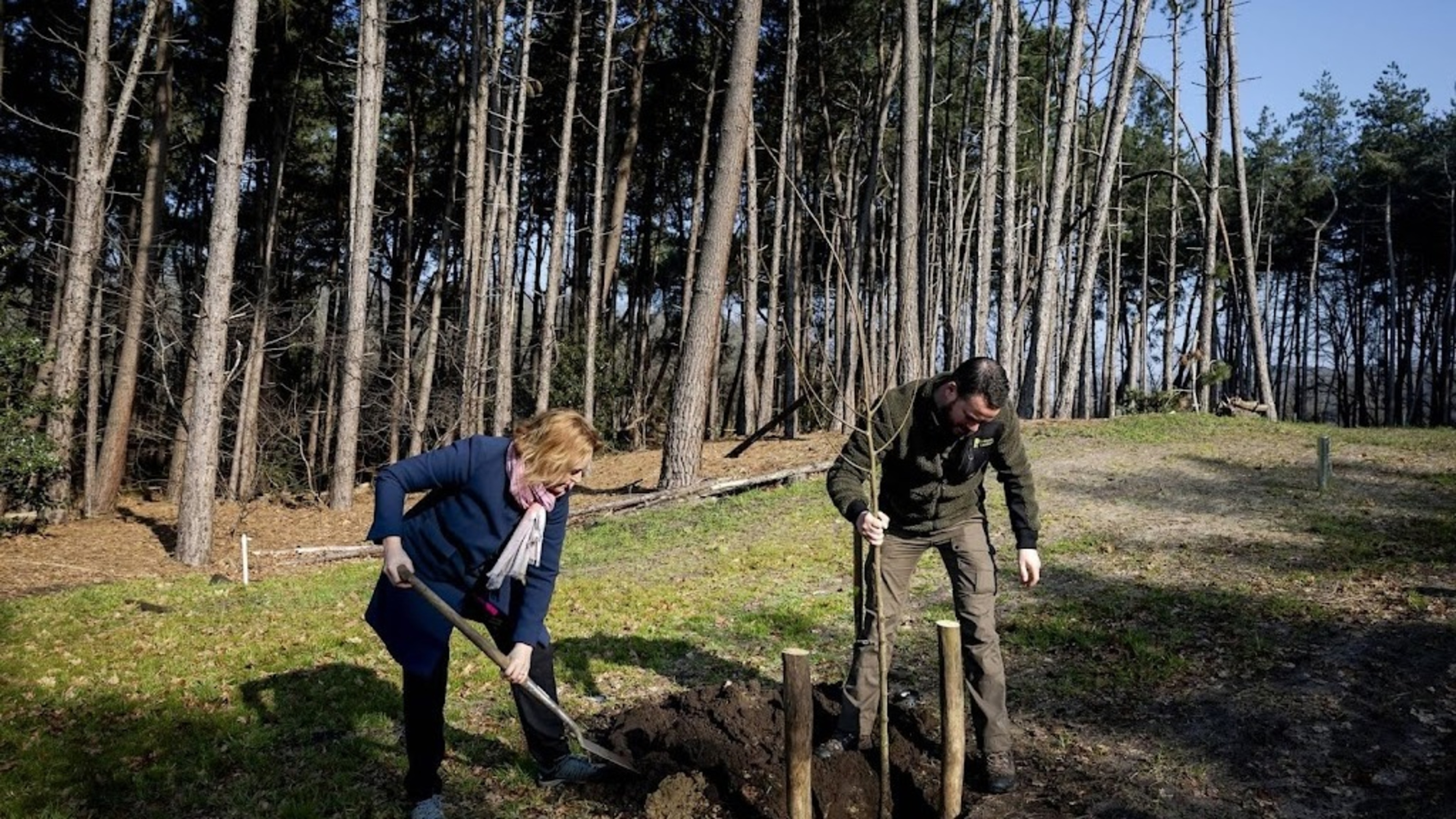 Cleanup of former drug waste pit near Halsteren stops