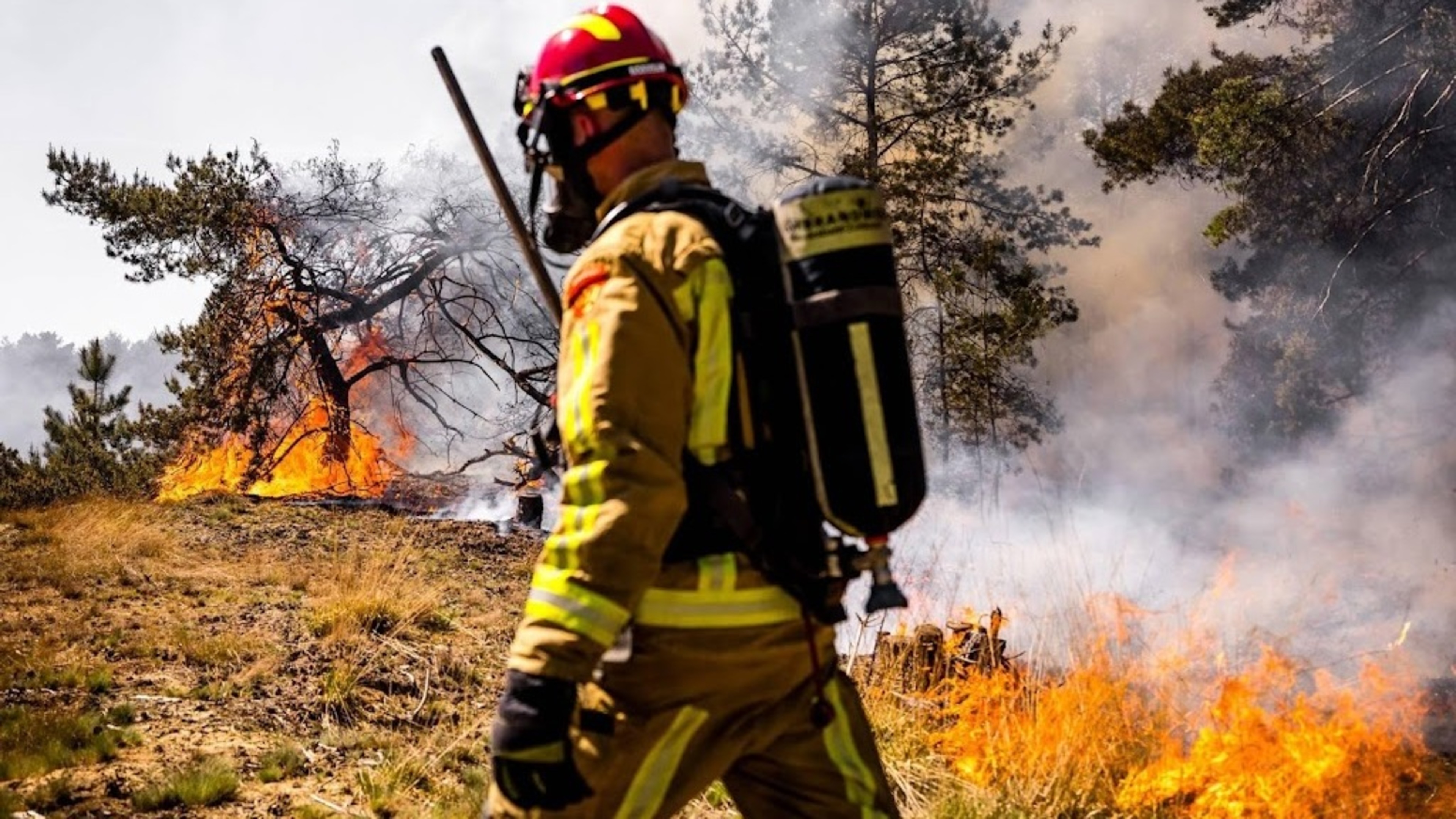 Increased risk of wildfires in seven safety regions