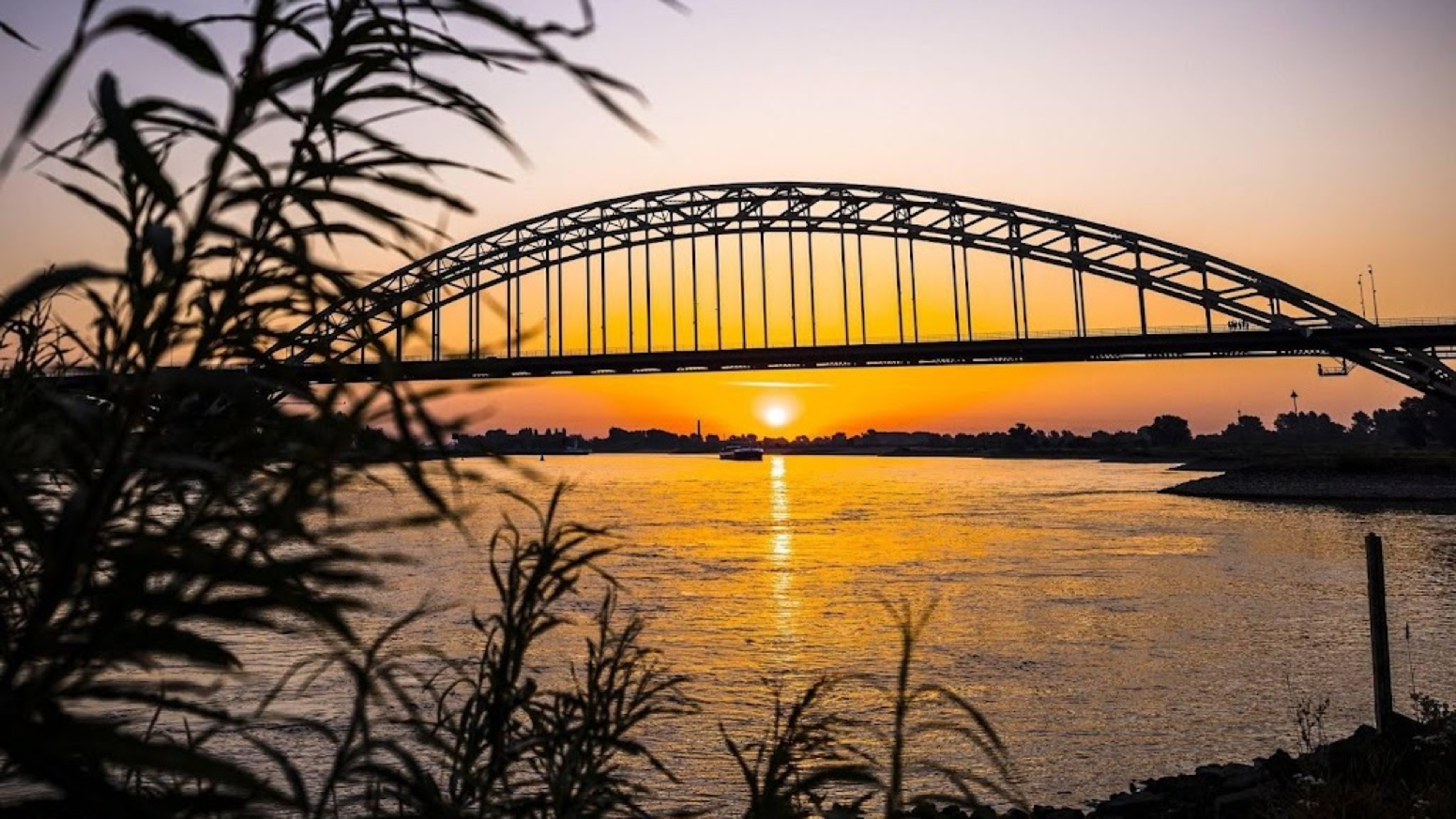 KNMI expects record-warm night from Thursday to Friday